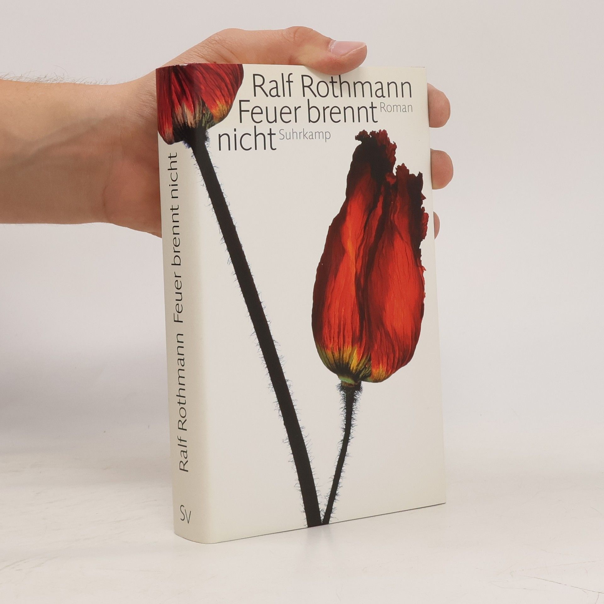 Ralf Rothmann Feuer brennt nicht