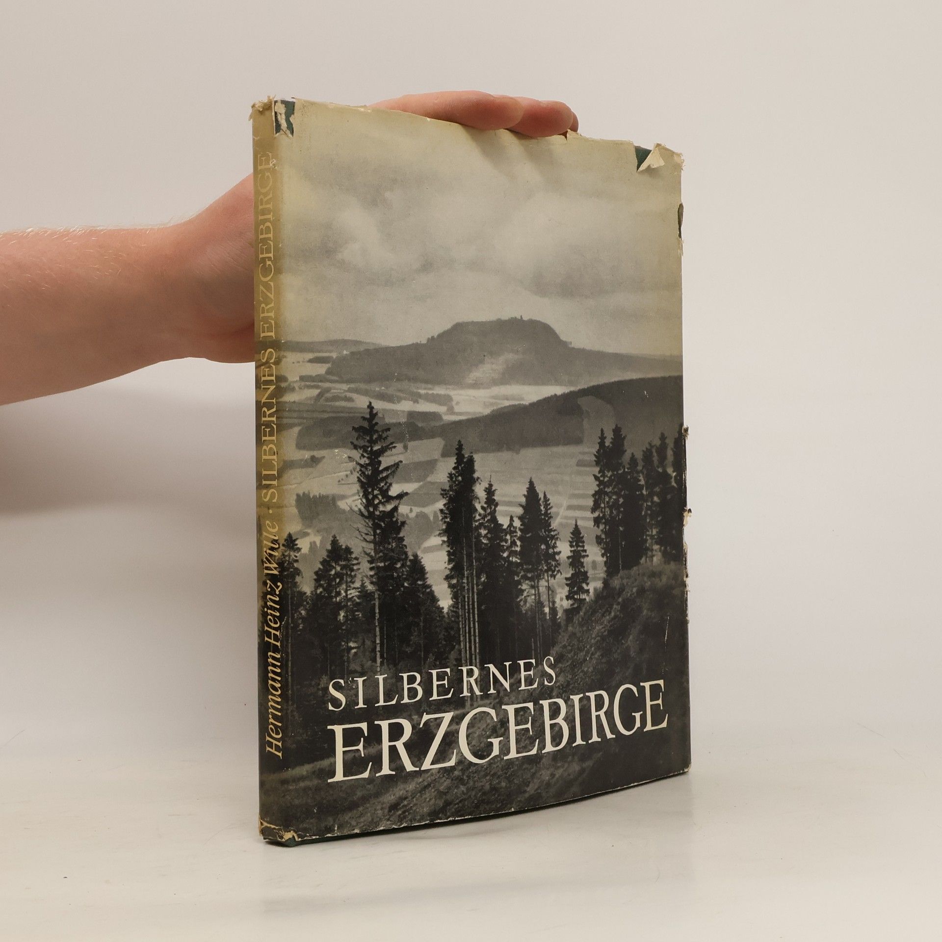 Hermann Heinz Wille Silbernes Erzgebirge