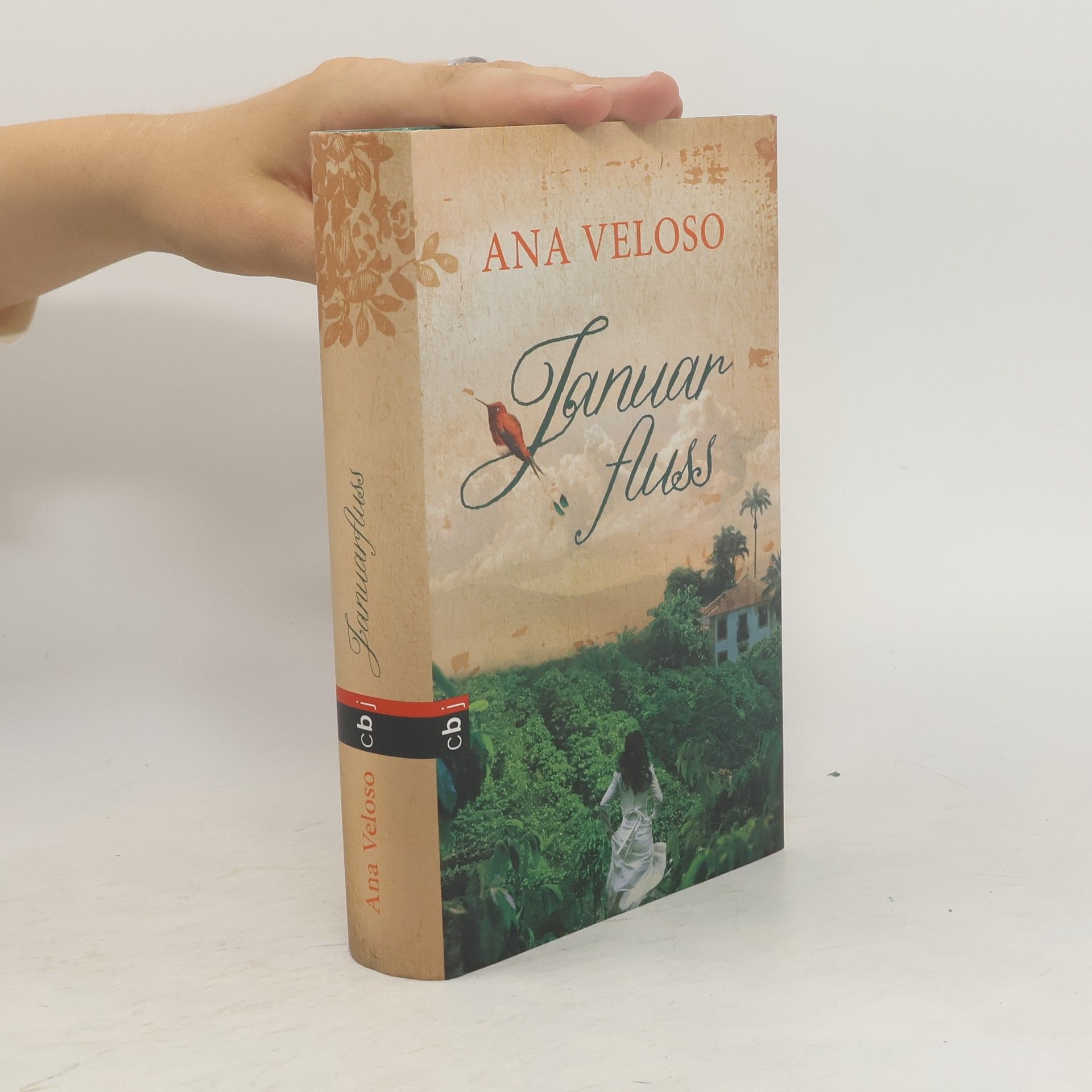 Ana Veloso Januarfluss