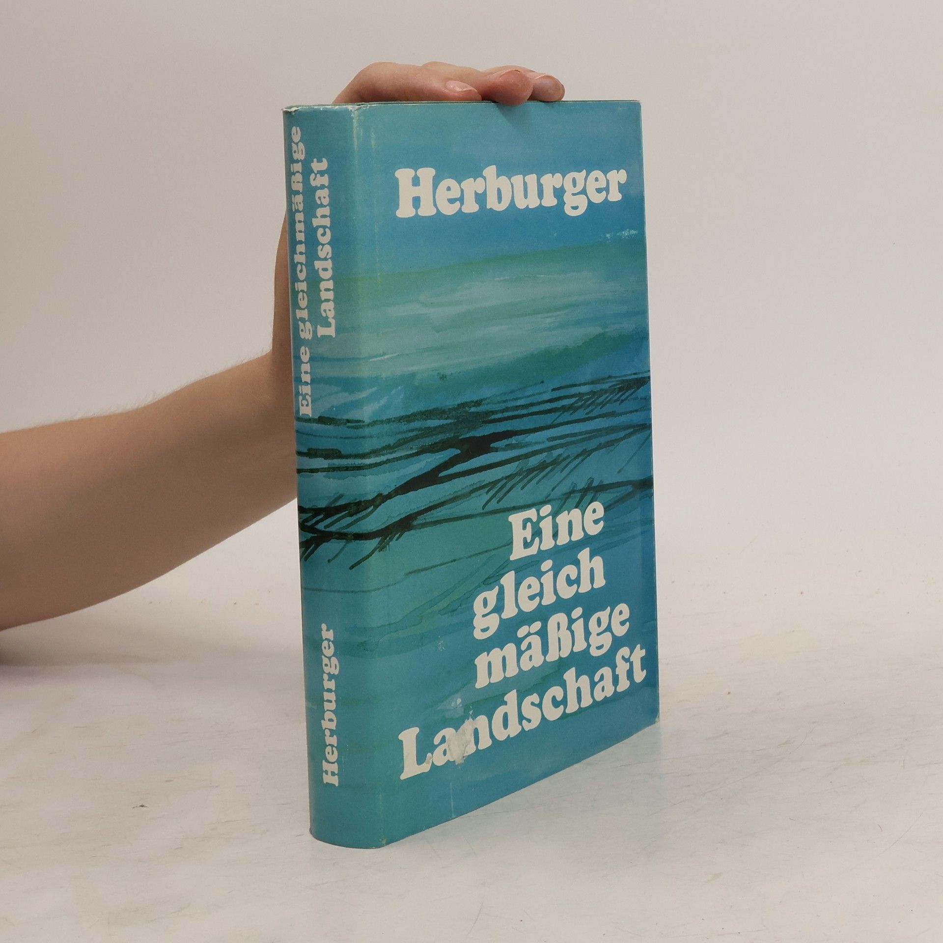Günter Herburger Eine gleichmäßige Landschaft