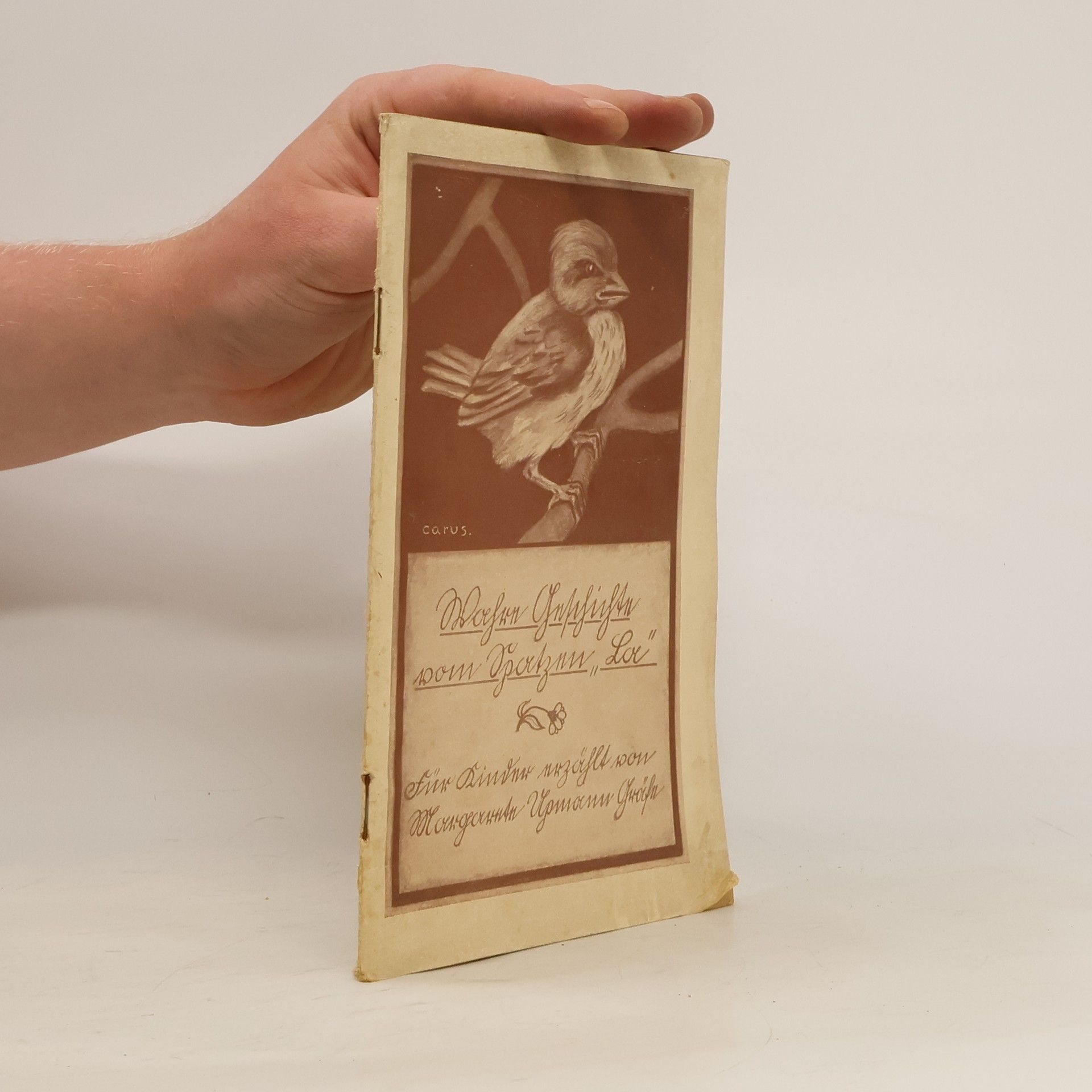 Margarete Upmann-Gräfe Wahre Geschichte vom Spatzen "La"