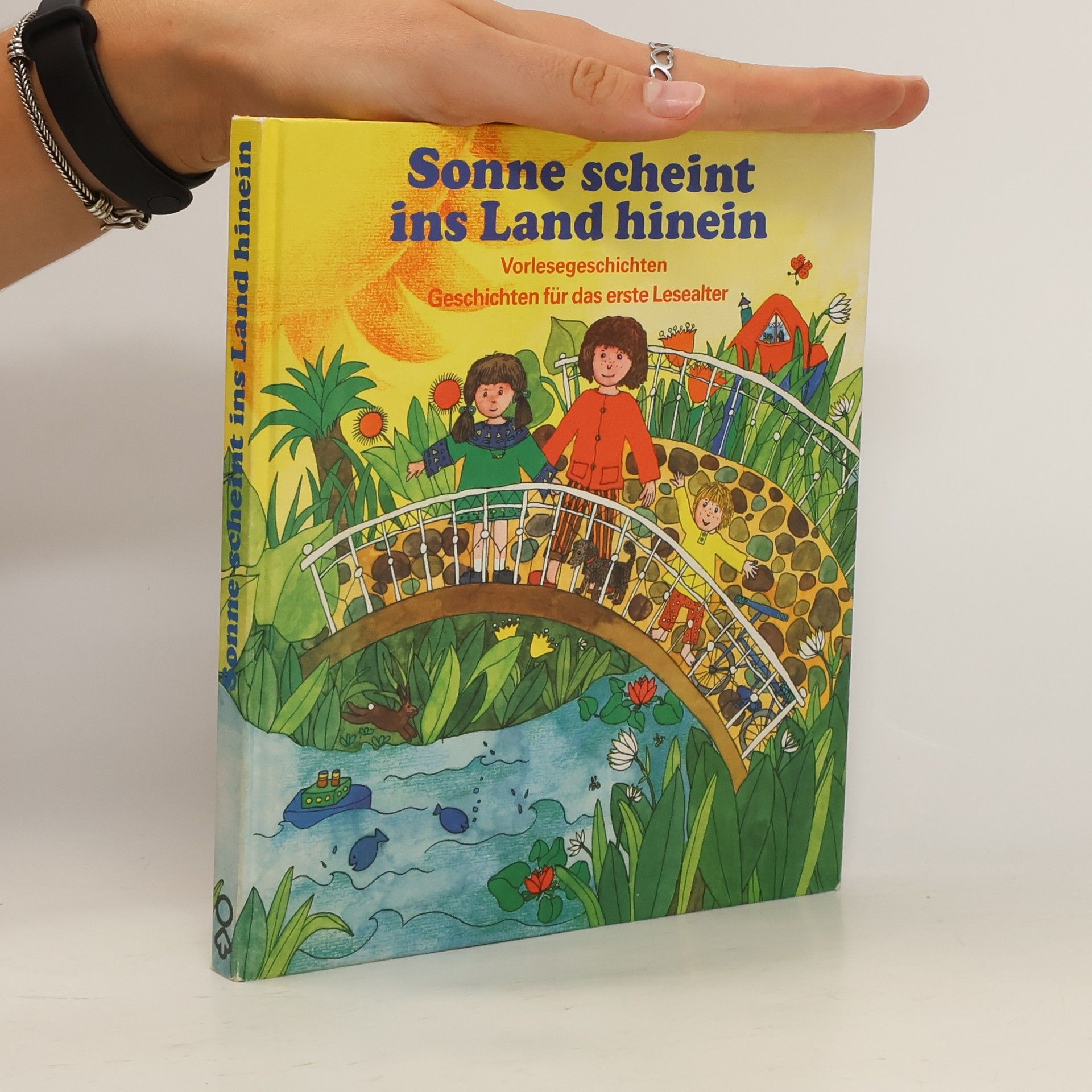 Steffi Baumann Sonne scheint ins Land hinein