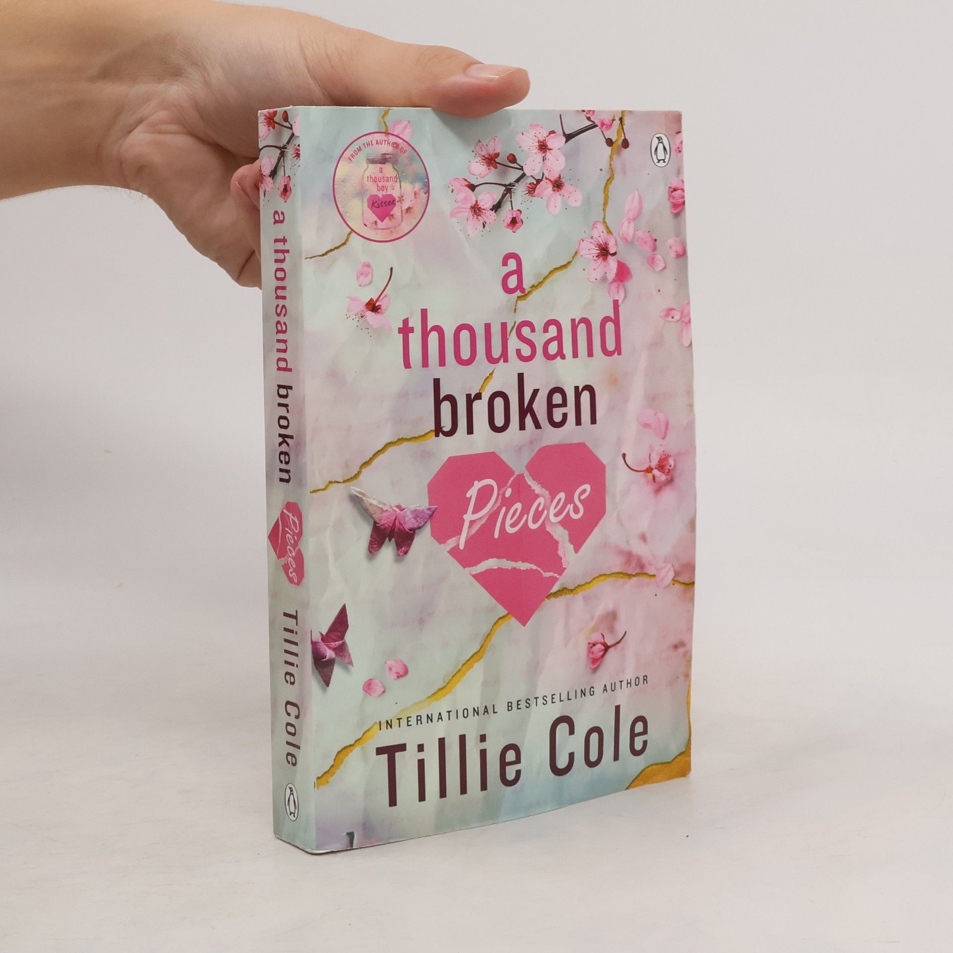 Tillie Cole A Thousand Broken Pieces