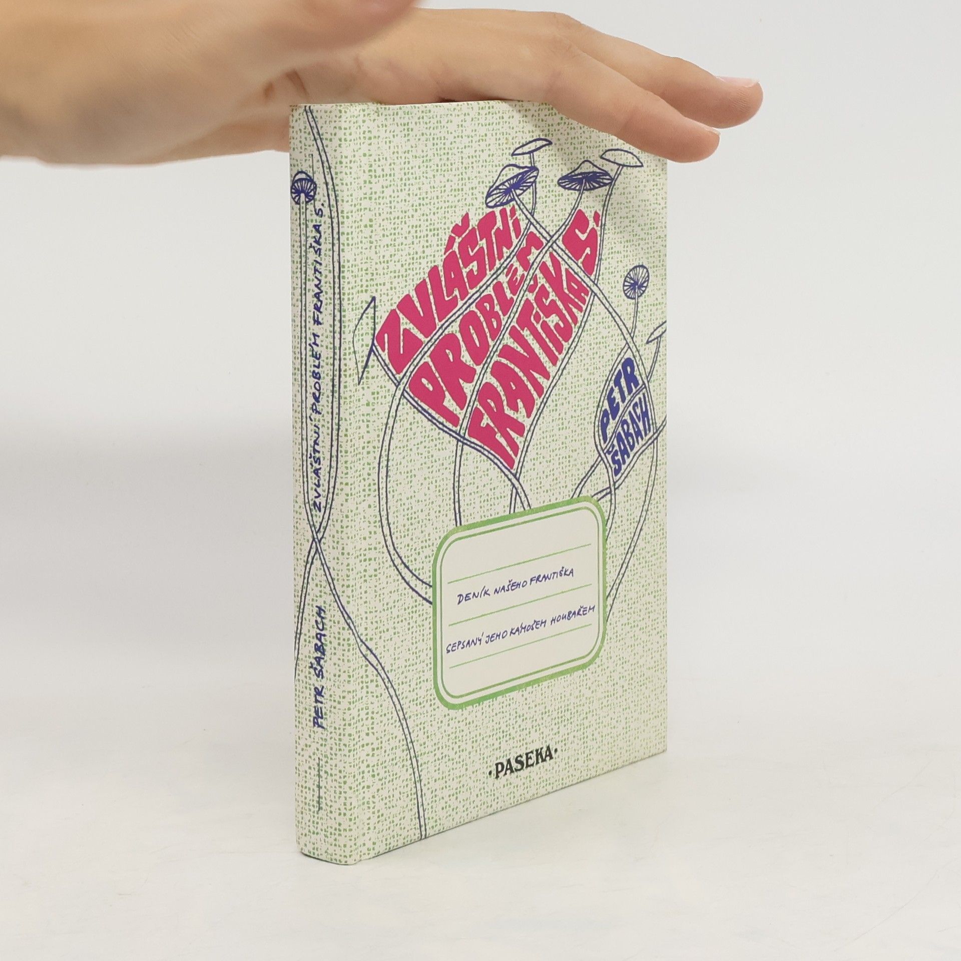 Petr Šabach Zvláštní problém Františka S