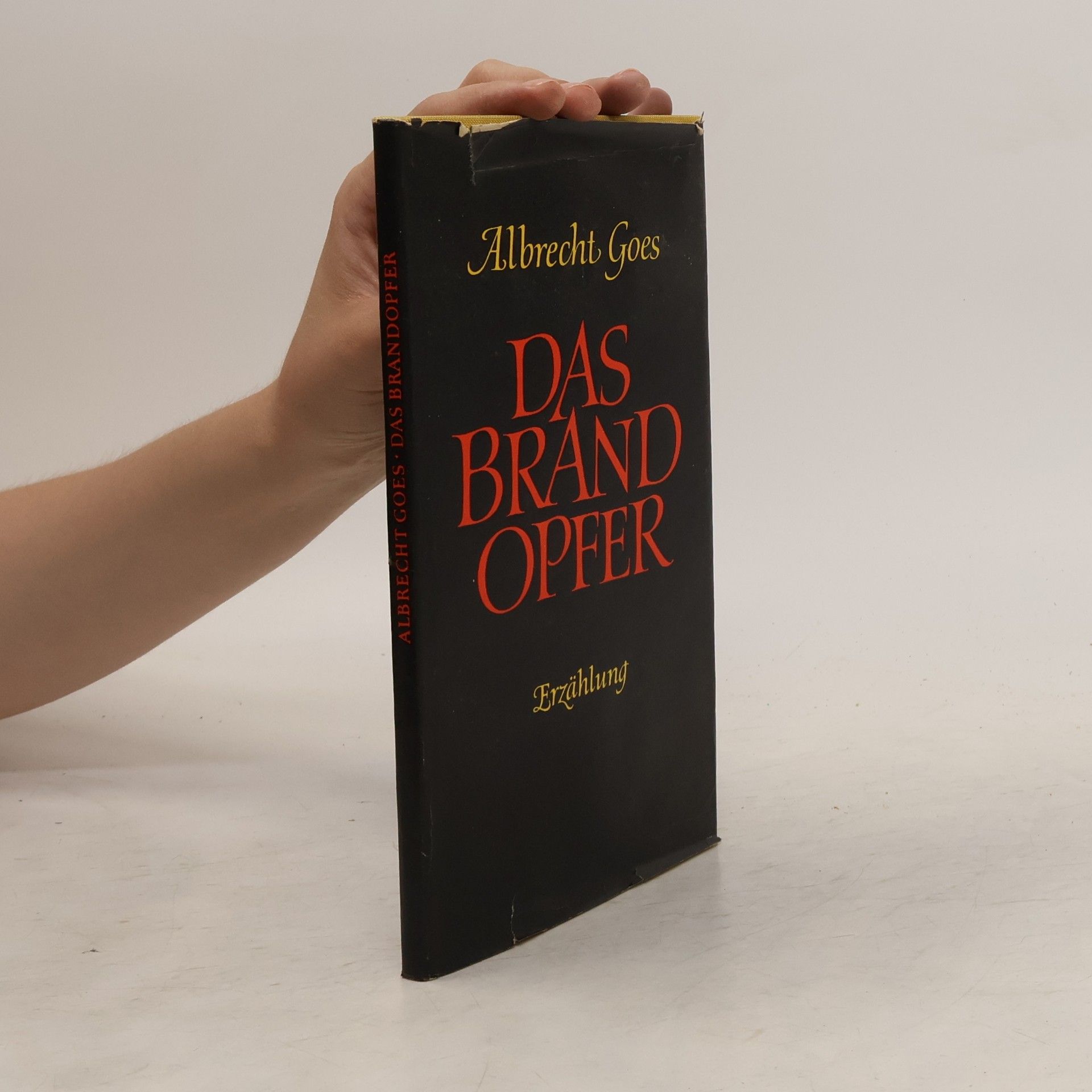 Albrecht Goes Das Brandopfer