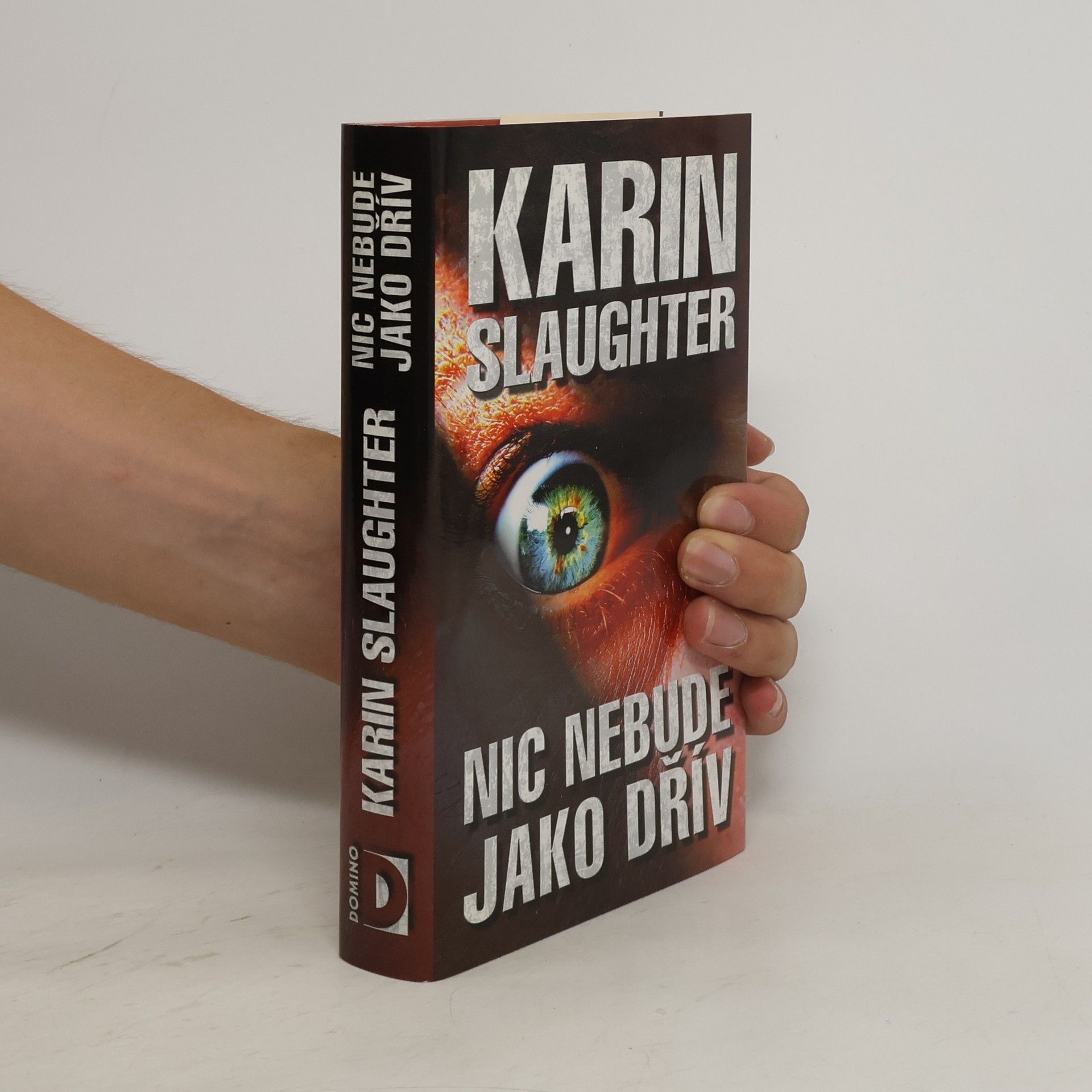 Karin Slaughter Nic nebude jako dřív