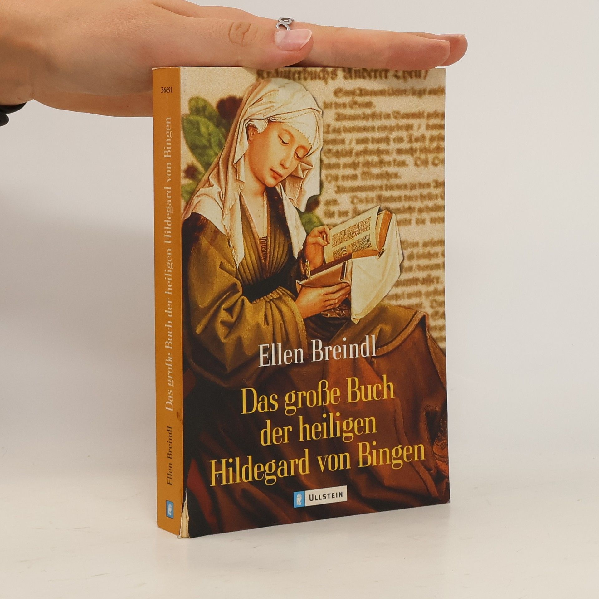 Ellen Breindl Das große Buch der heiligen Hildegard von Bingen