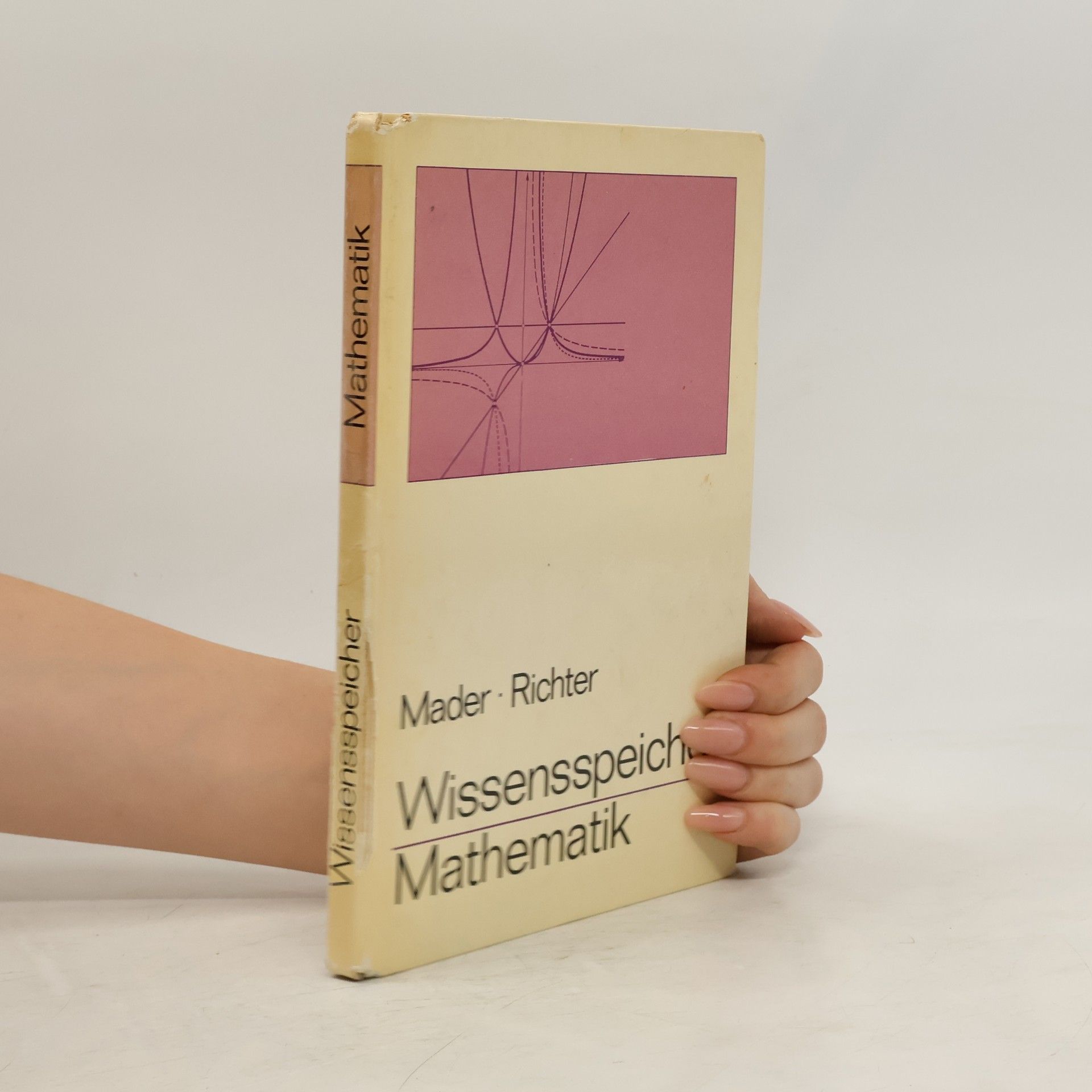 Richter Wissensspeicher Mathematik