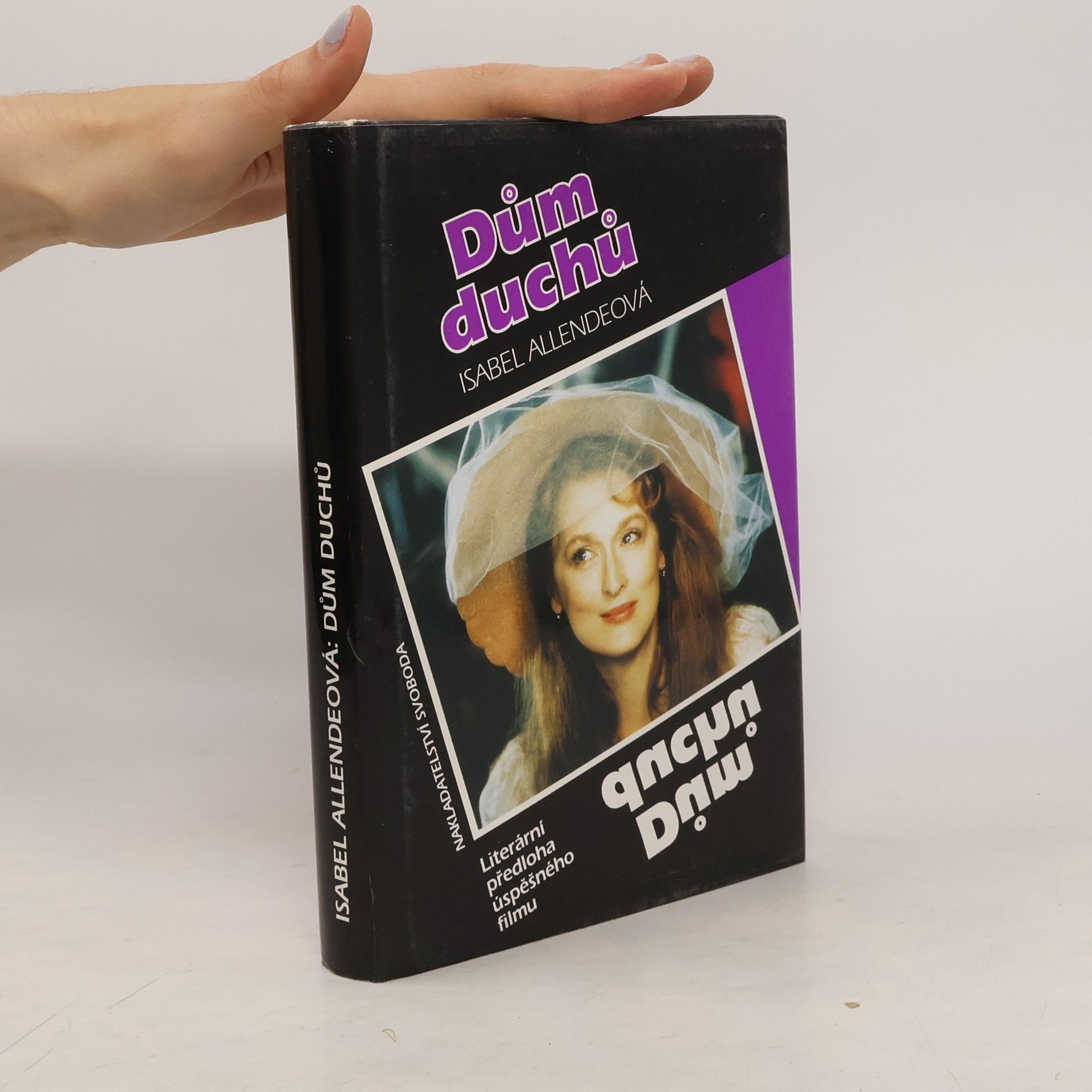 Isabel Allende Dům duchů