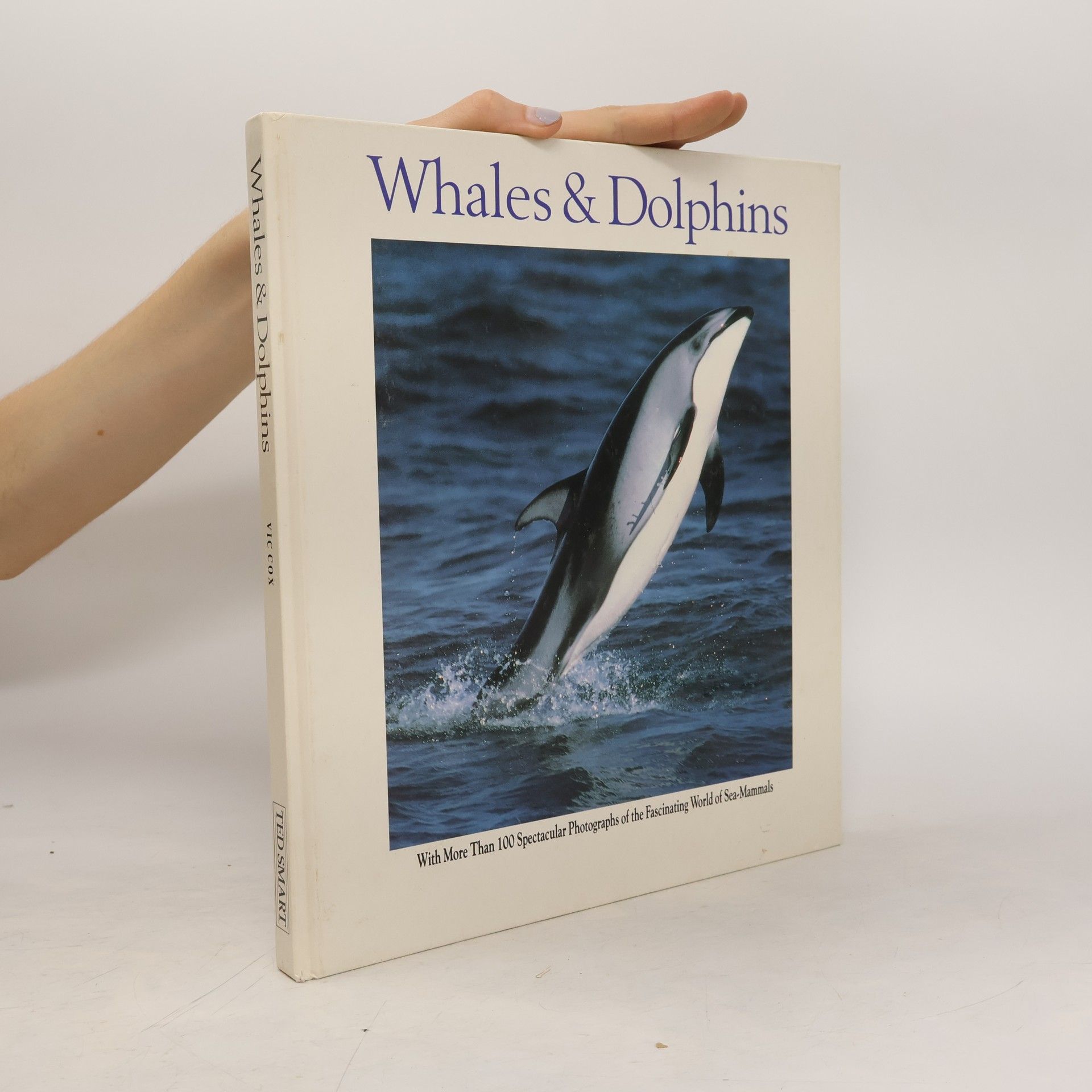 Autorenkollektiv Whales & Dolphins