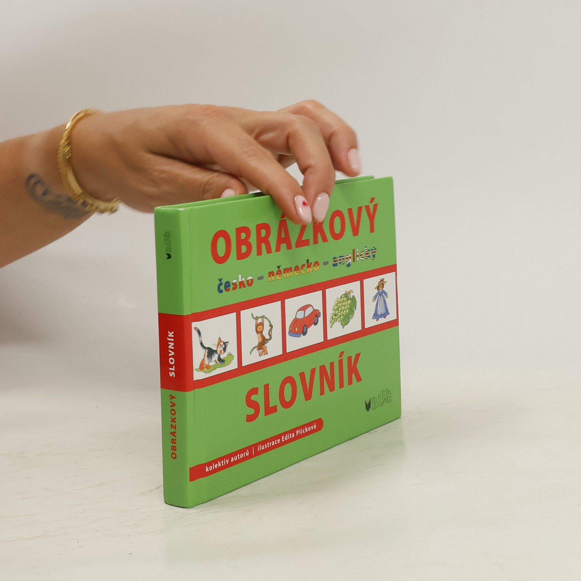 Plicková Edita Obrázkový slovník: česko - německo - anglický