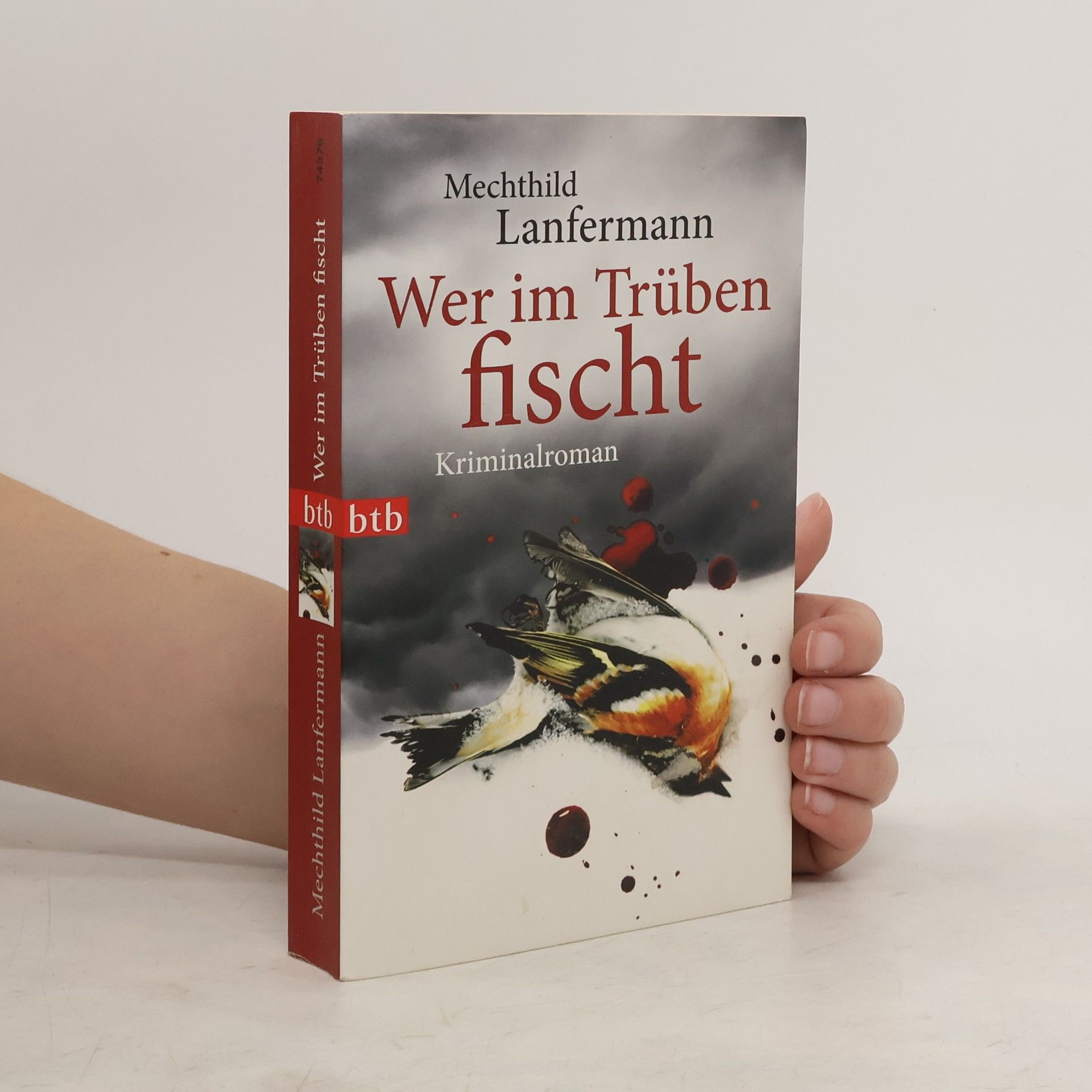 Mechthild Lanfermann Wer im Trüben fischt