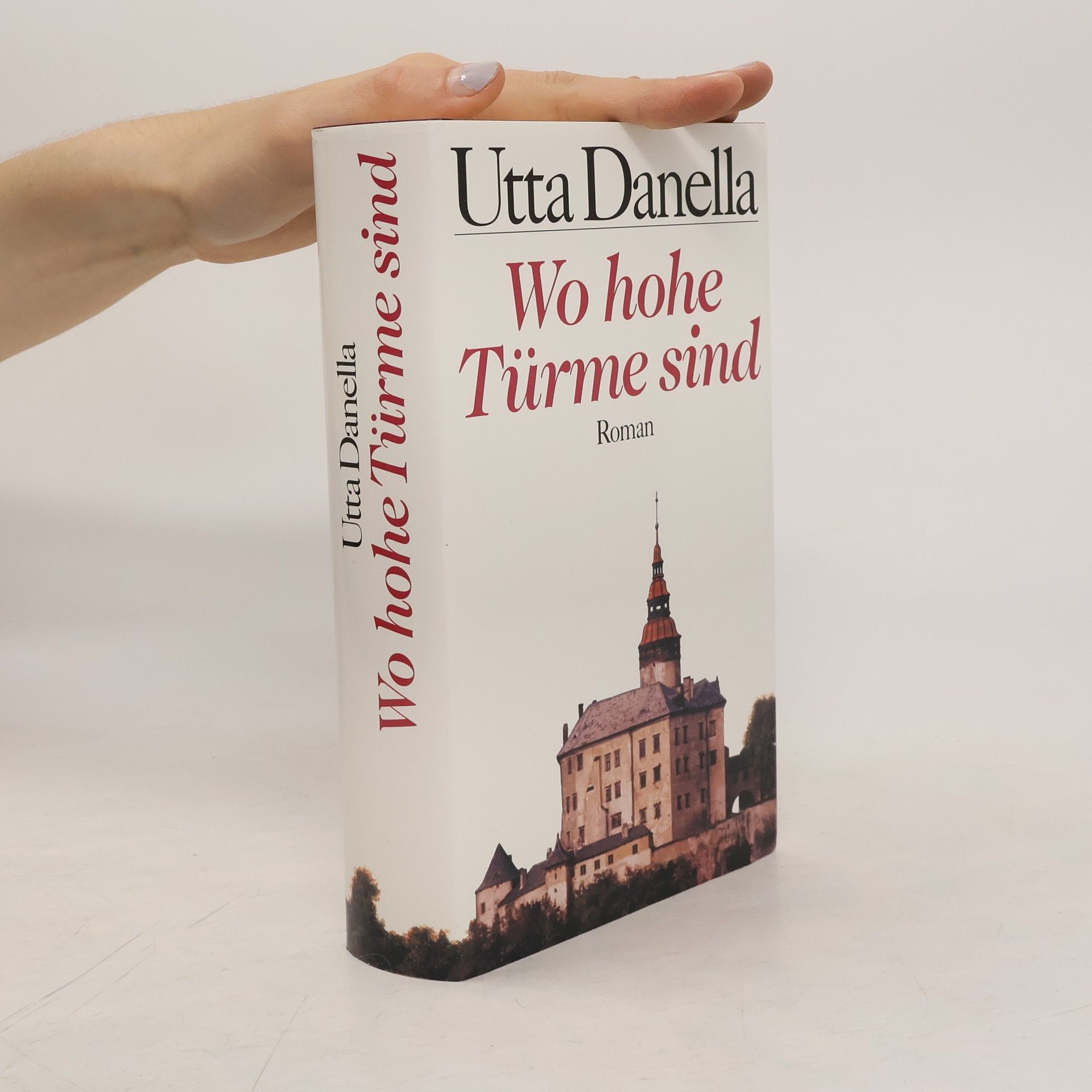 Utta Danella Wo hohe Türme sind