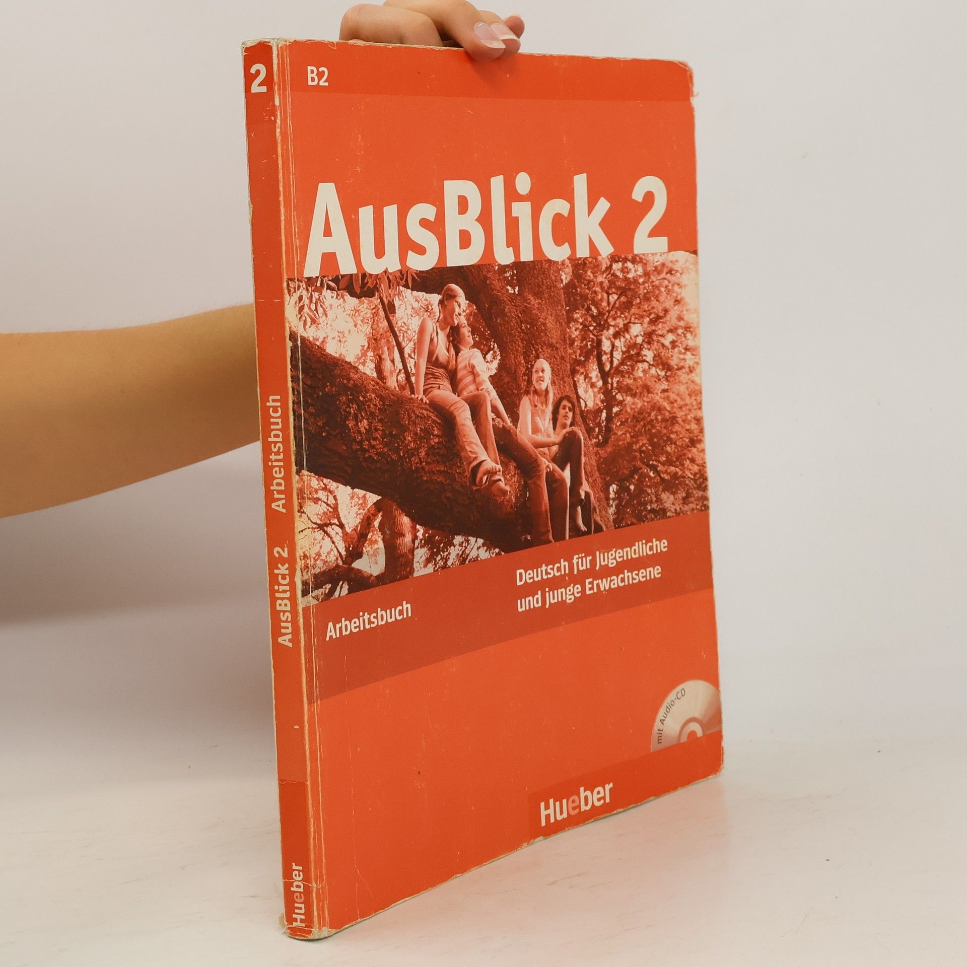 Auteurscollectief AusBlick