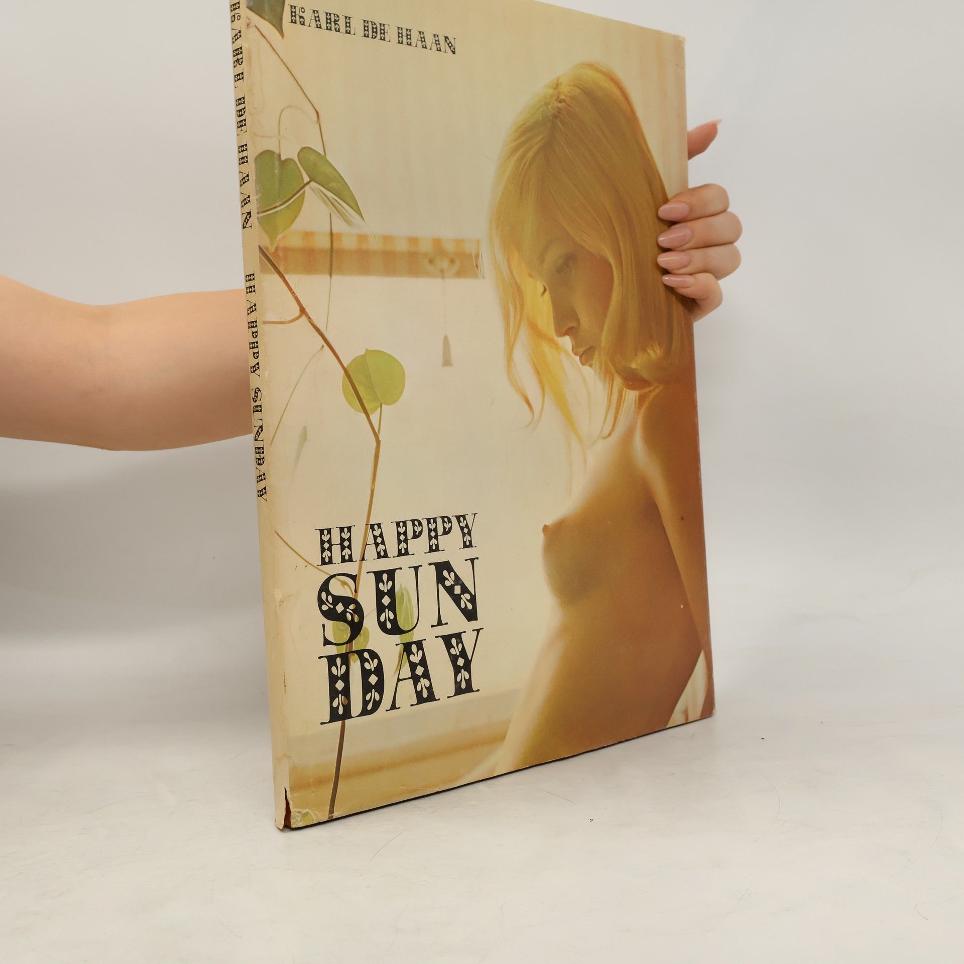 Karl de Haan Happy Sunday