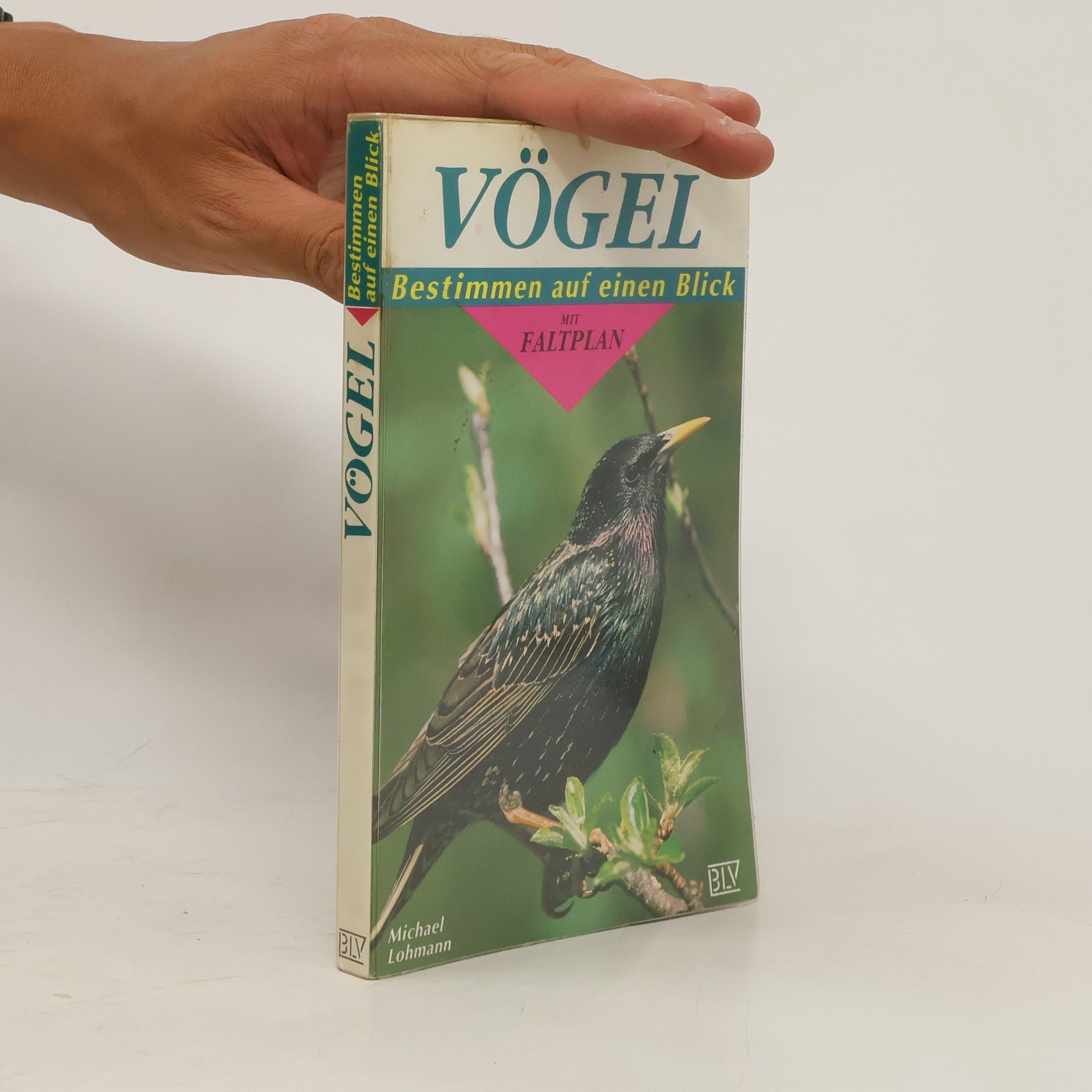 Michael Lohmann Vögel