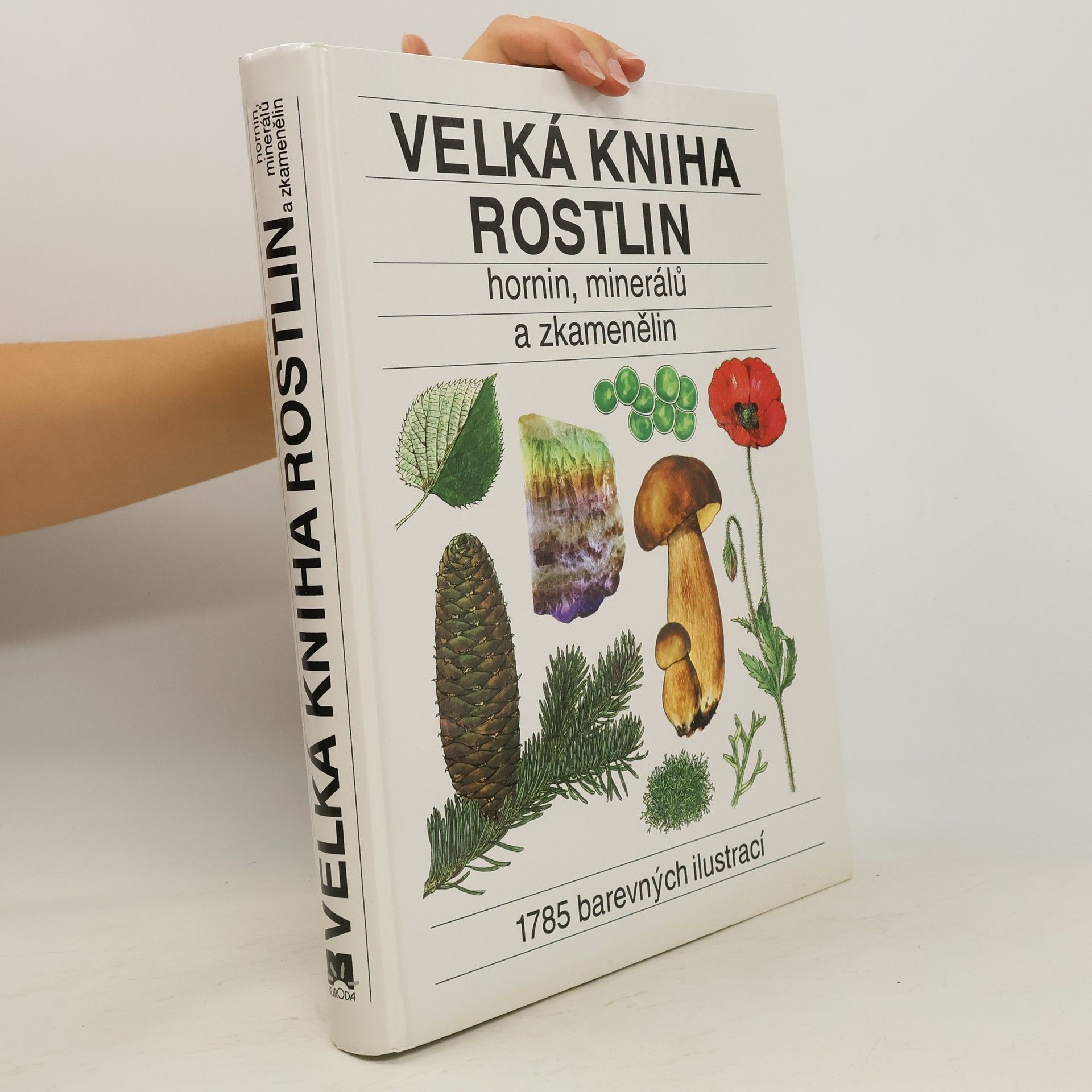Jindřich Krejča Velká kniha rostlin, hornin, minerálů a zkamenělin
