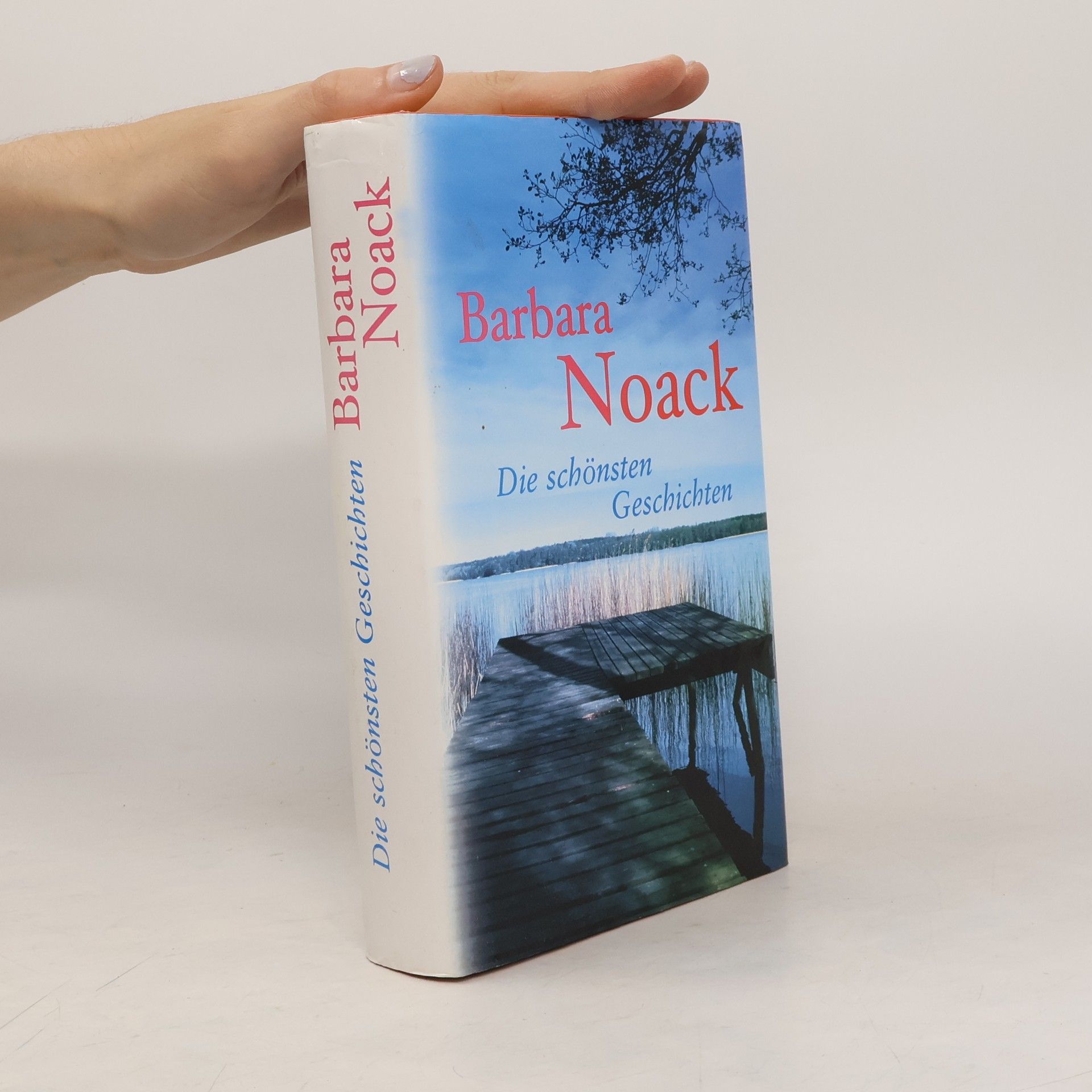 Barbara Noack Die schönsten Geschichten