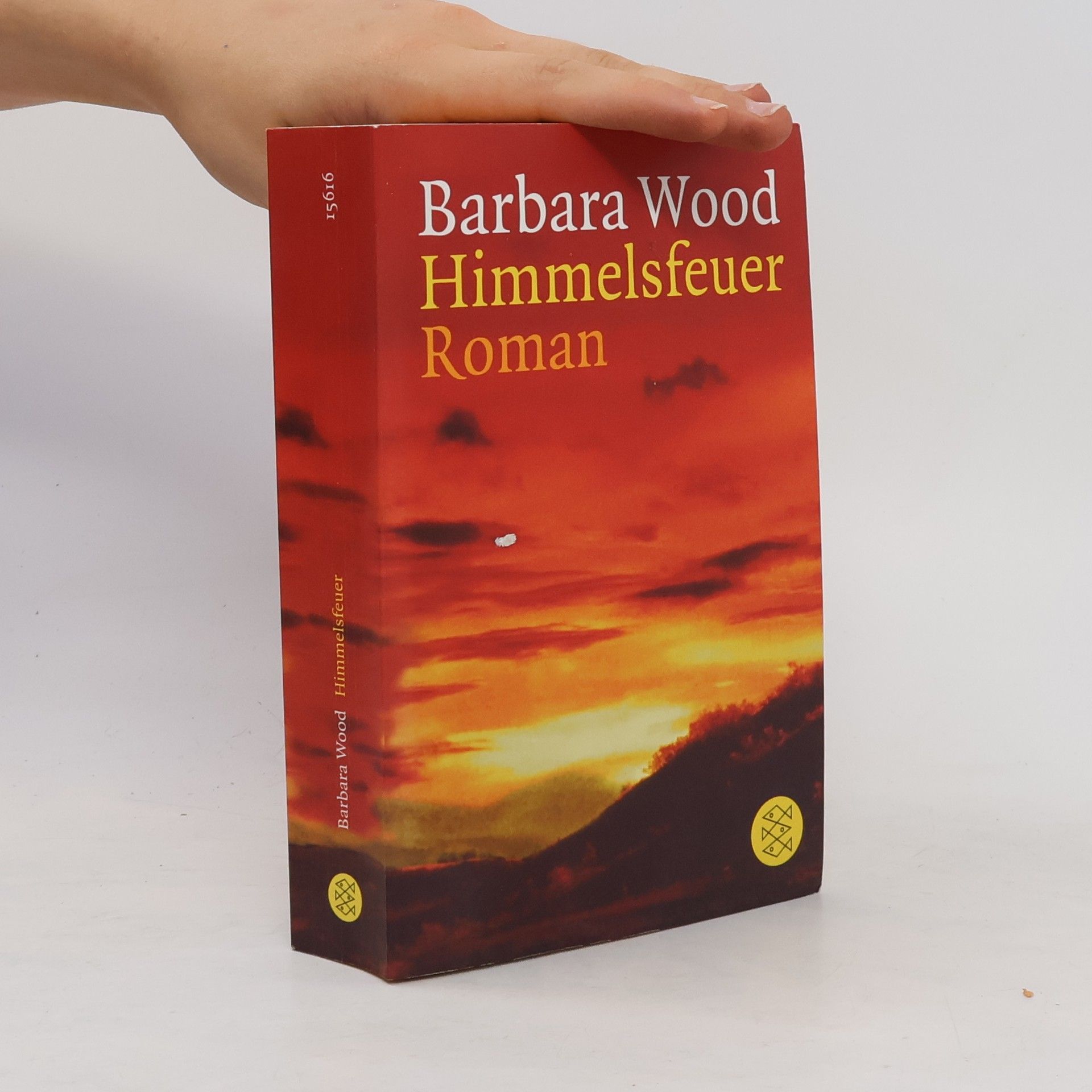 Barbara Wood Himmelsfeuer