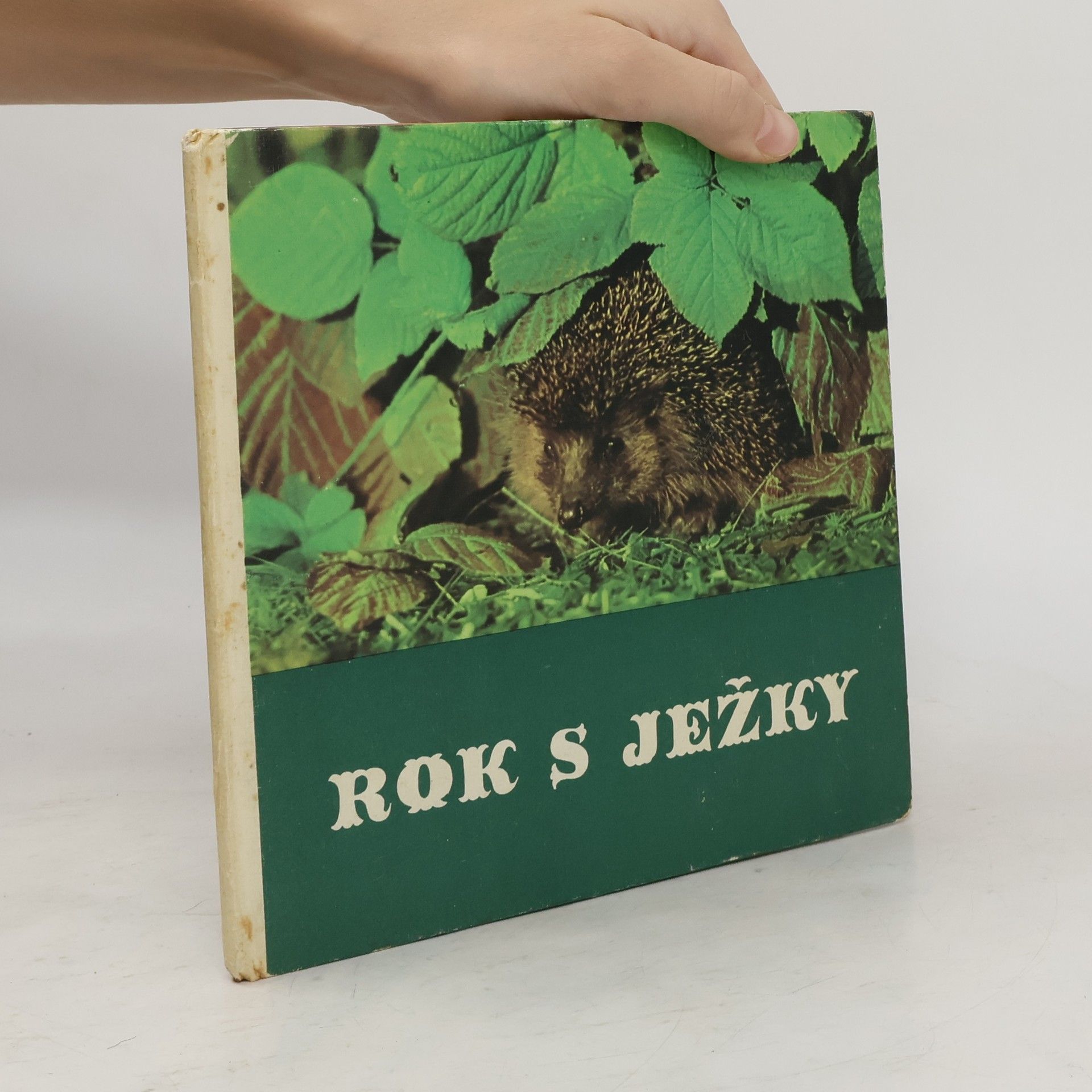 Friedrich W. Stöcker Rok s ježky