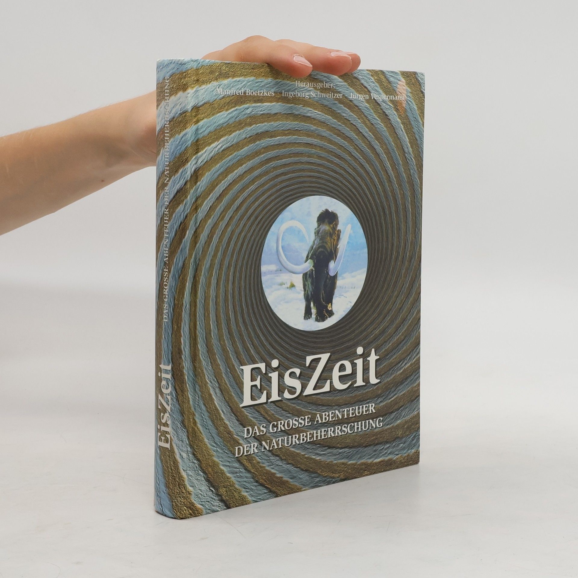 Manfred Boetzkes EisZeit