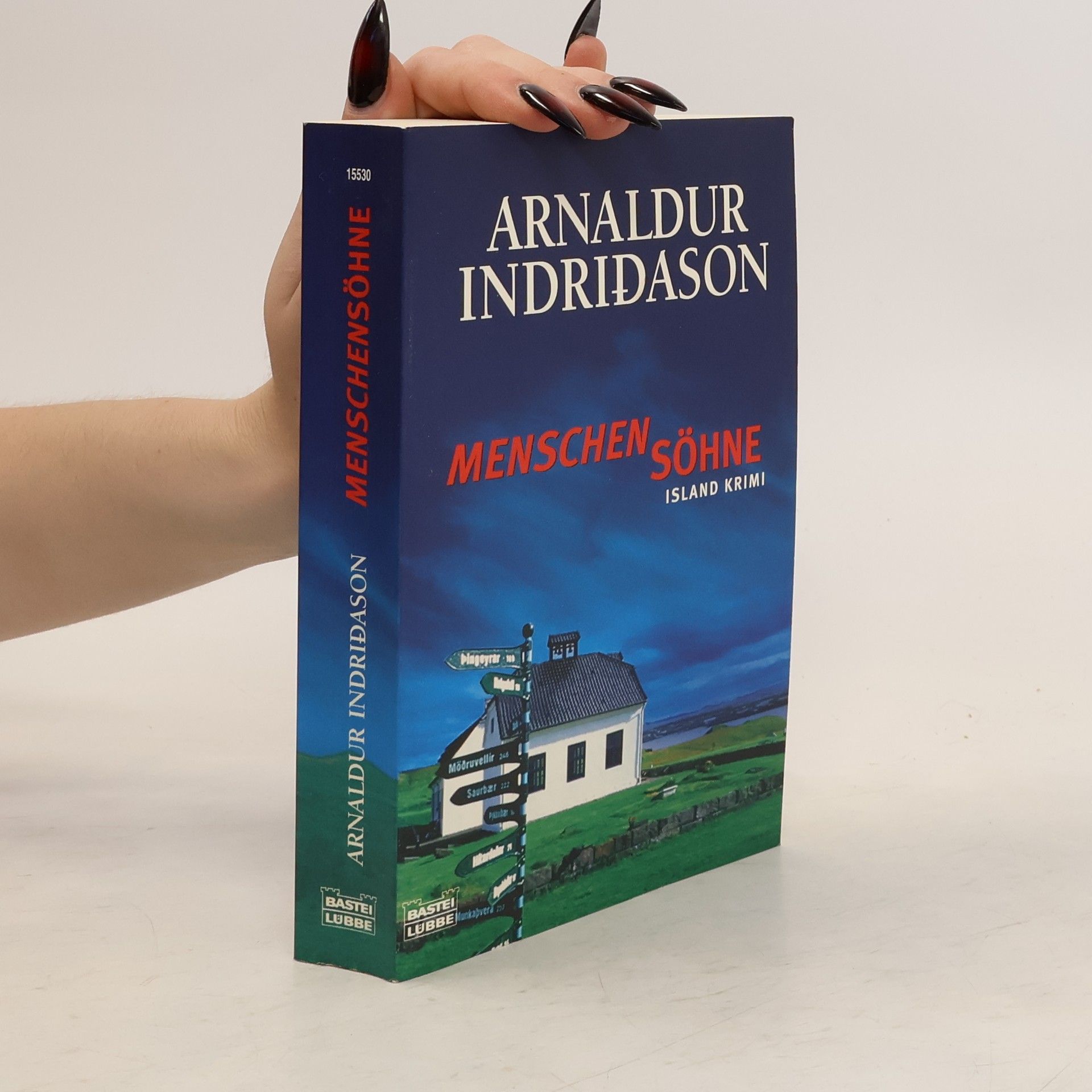 Arnaldur Indriðason Menschensöhne
