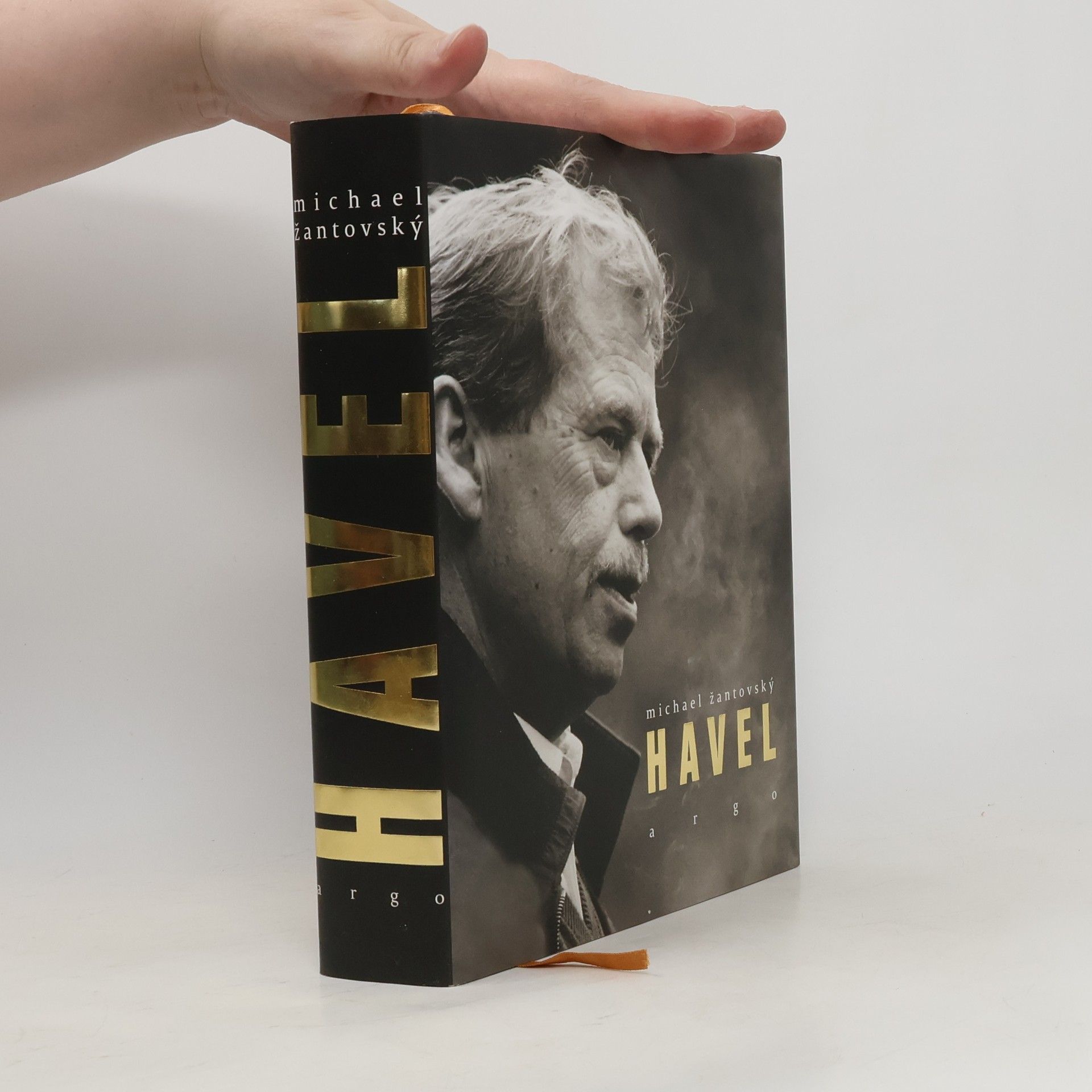 Michael Žantovský Havel