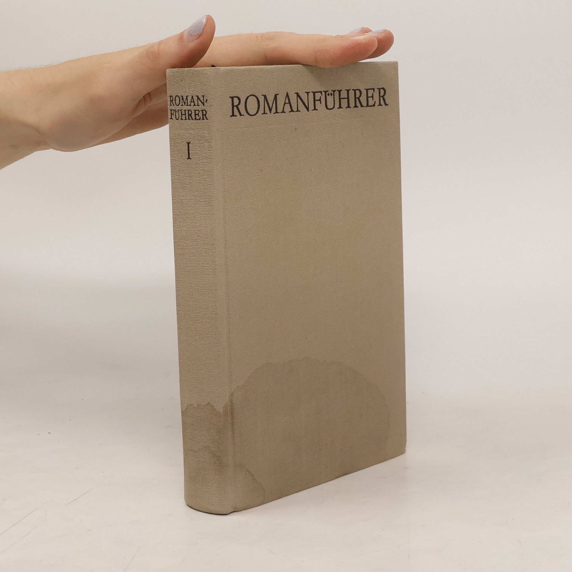 kolektiv Romanführer I.