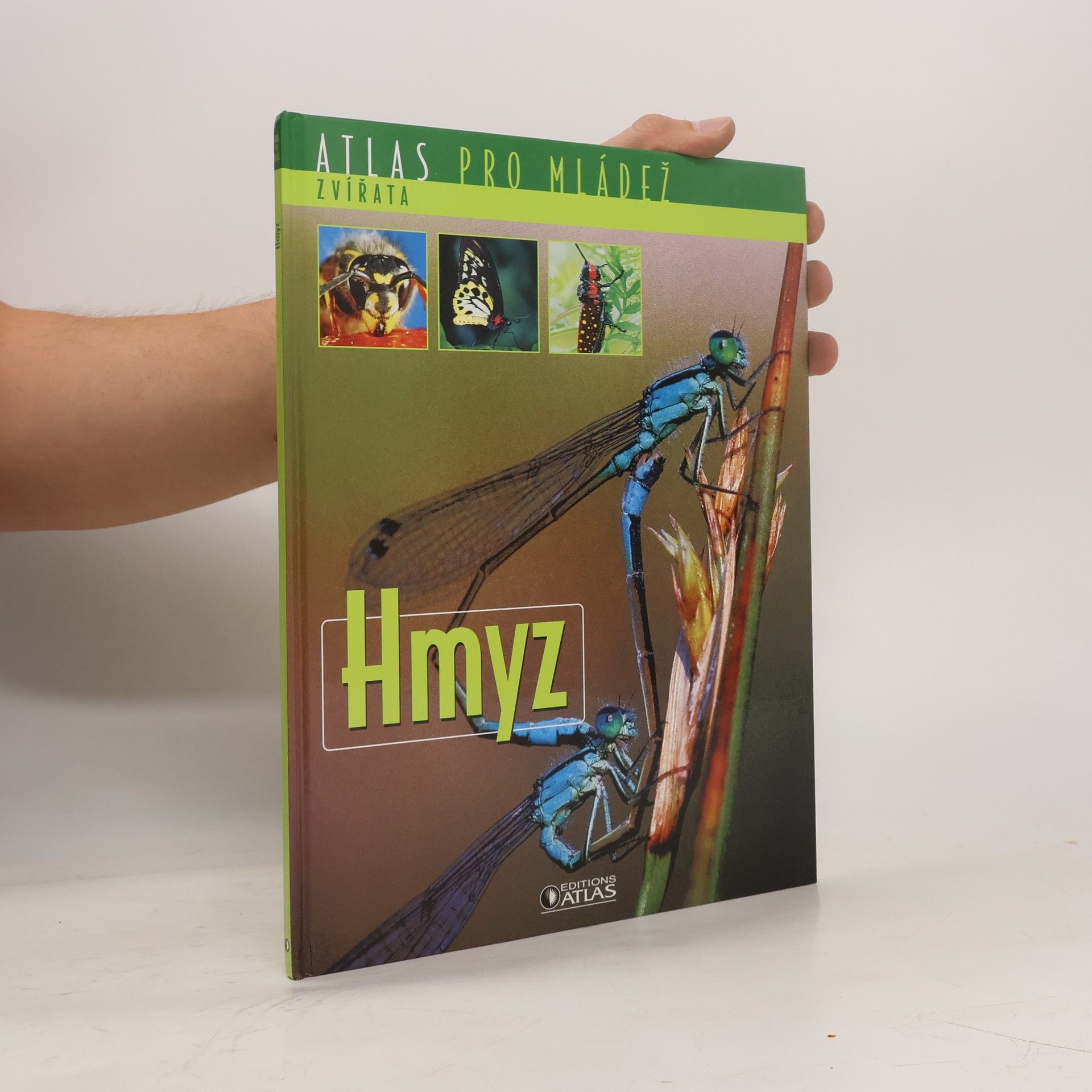 kolektiv Hmyz