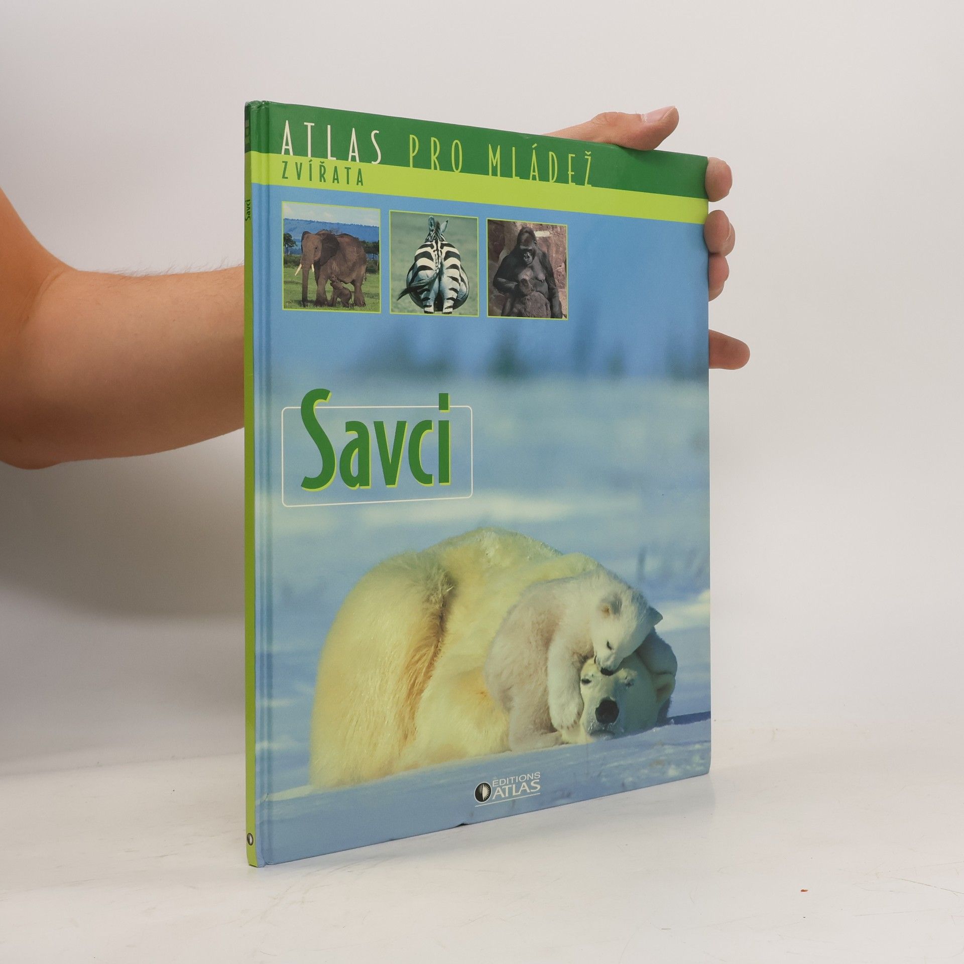 kolektiv Savci