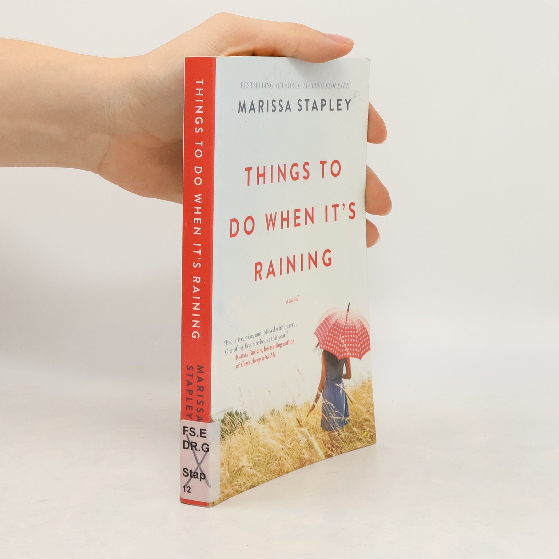 Marissa Stapley Things to Do When It's Raining