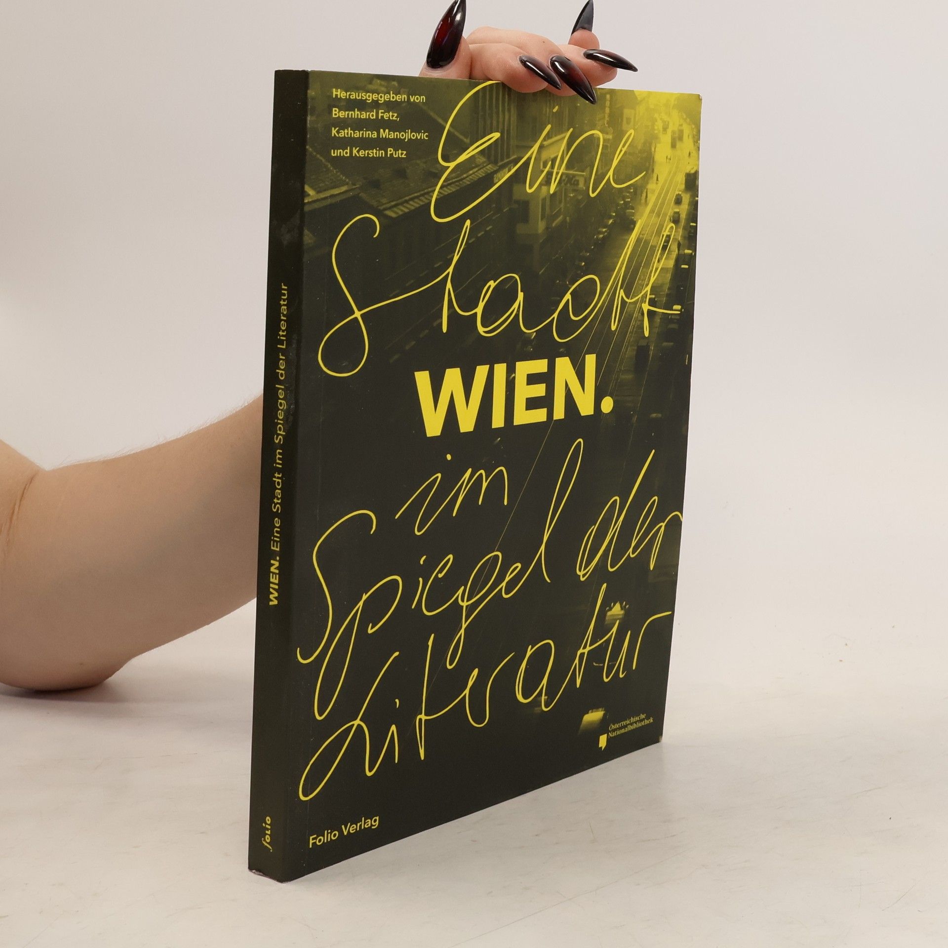 Bernhard Fetz Wien - eine Stadt im Spiegel der Literatur