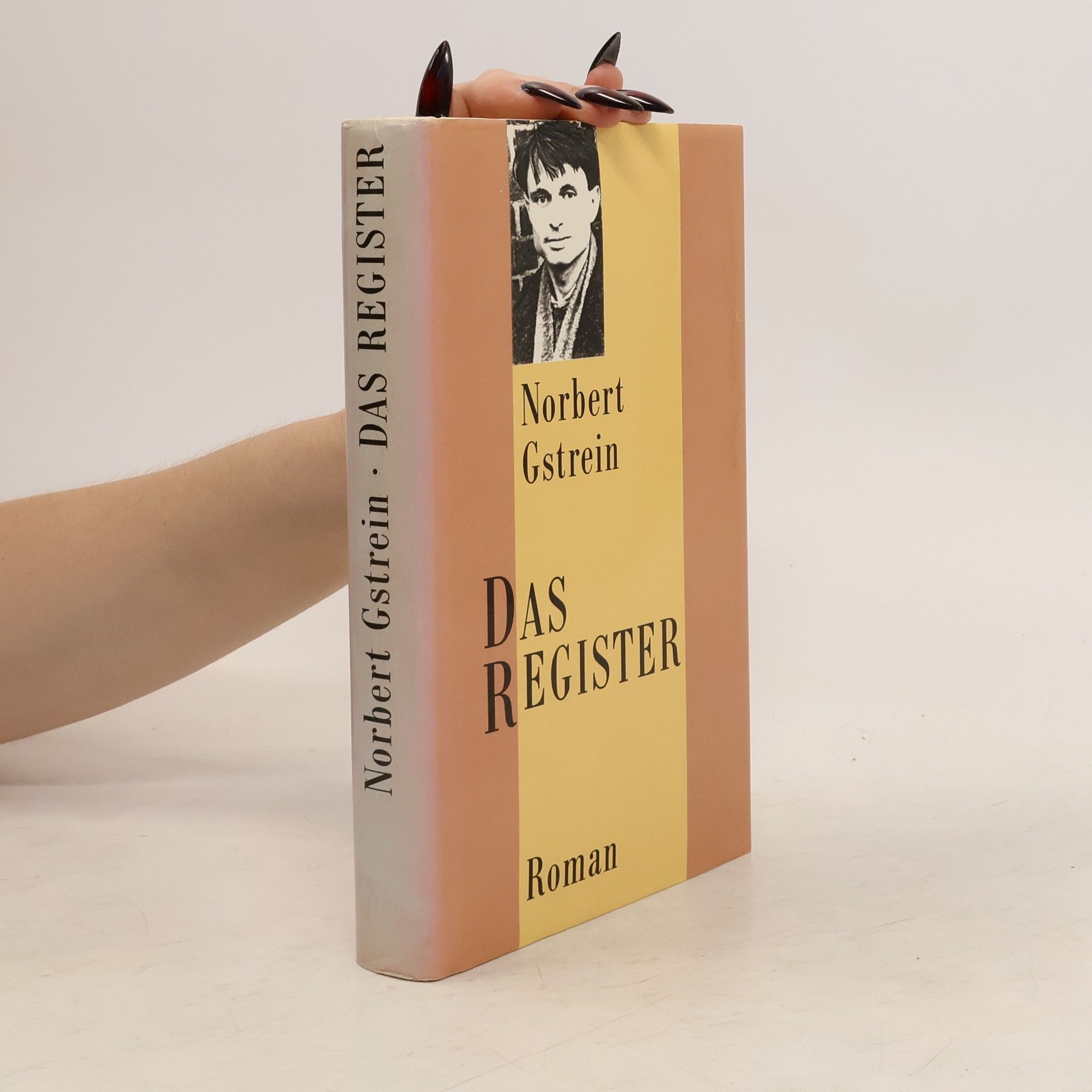 Norbert Gstrein Das Register
