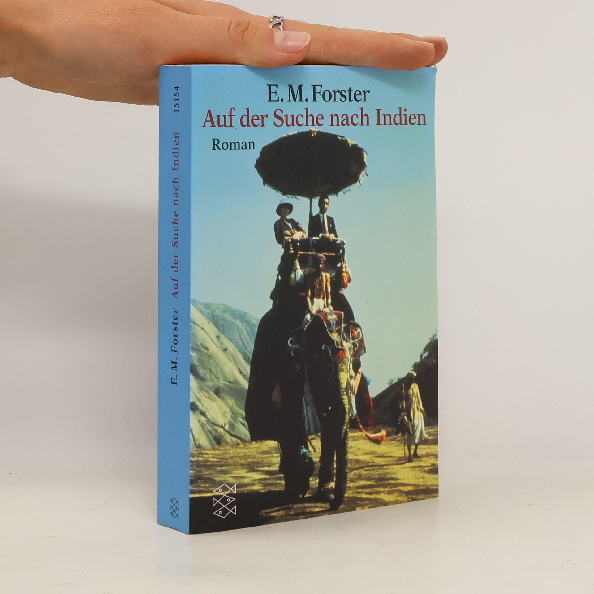 Wolfgang von Einsiedel Auf der Suche nach Indien : Roman