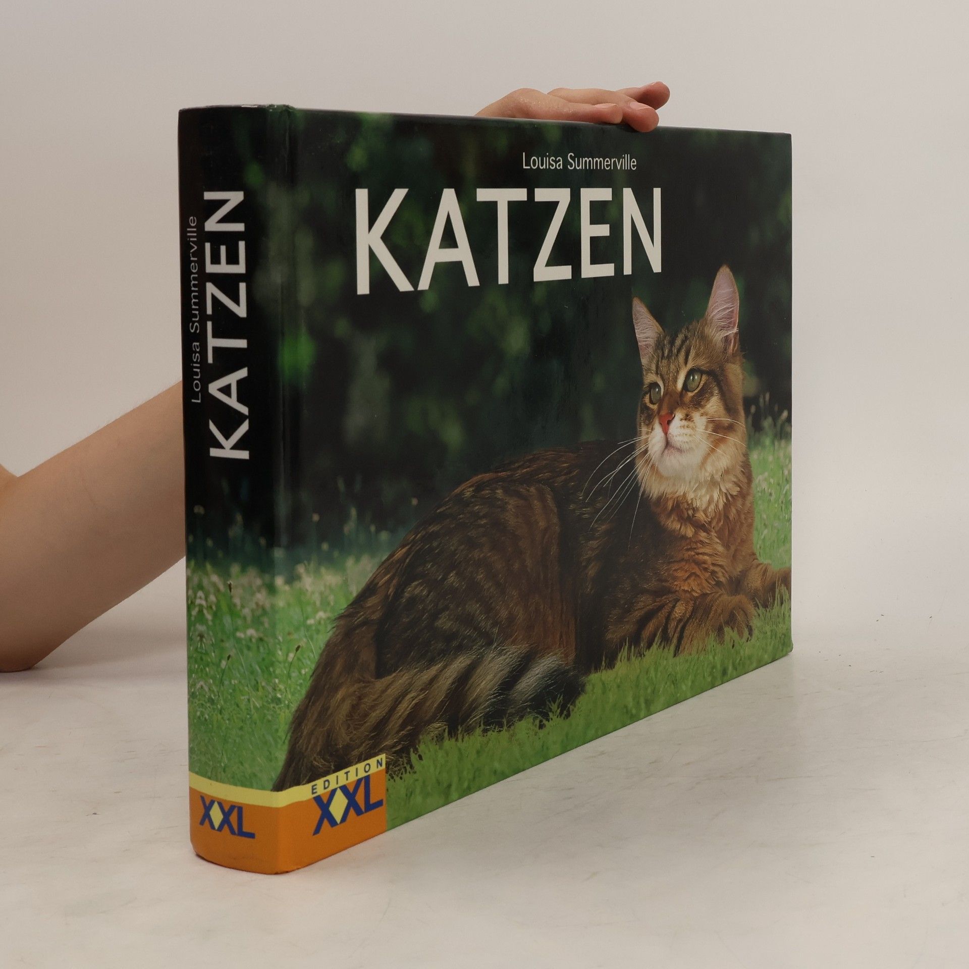 Louisa Summerville Katzen