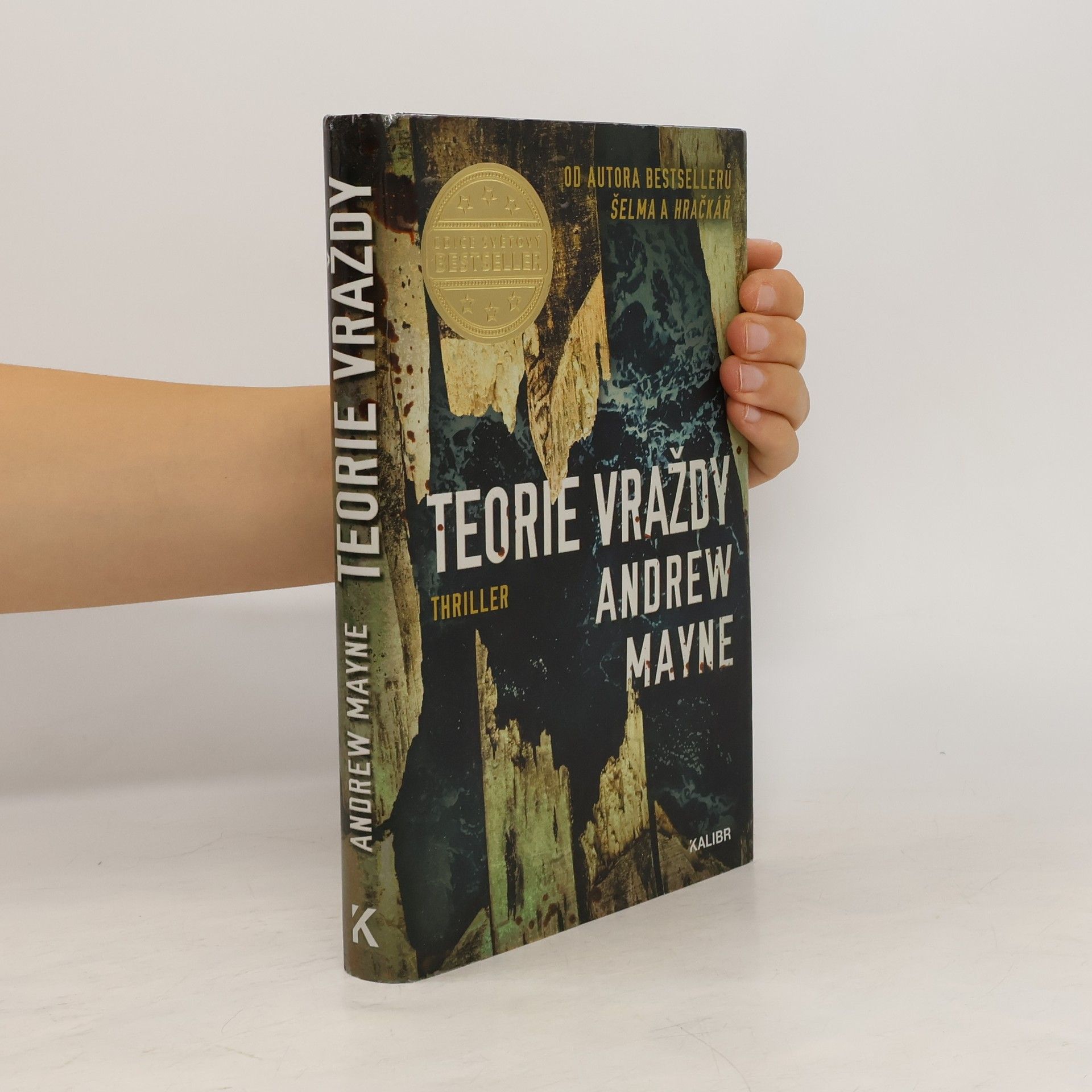 Andrew Mayne Teorie vraždy