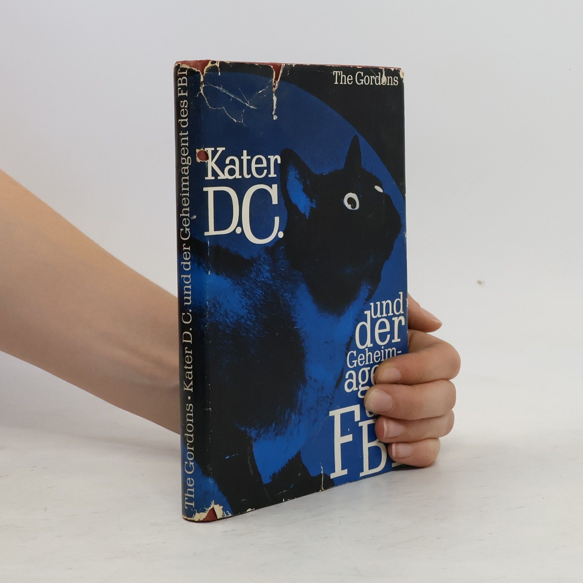 The Gordons Kater DC und der Geheimagent des FBI