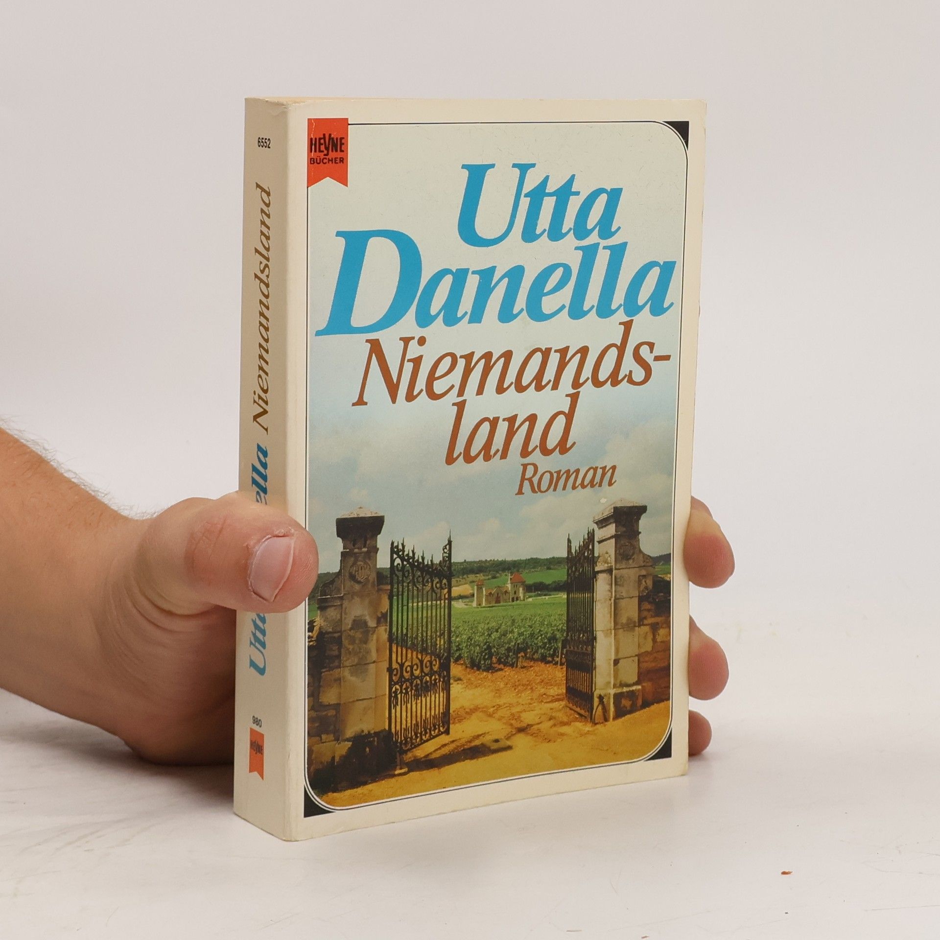 Utta Danella Niemandsland
