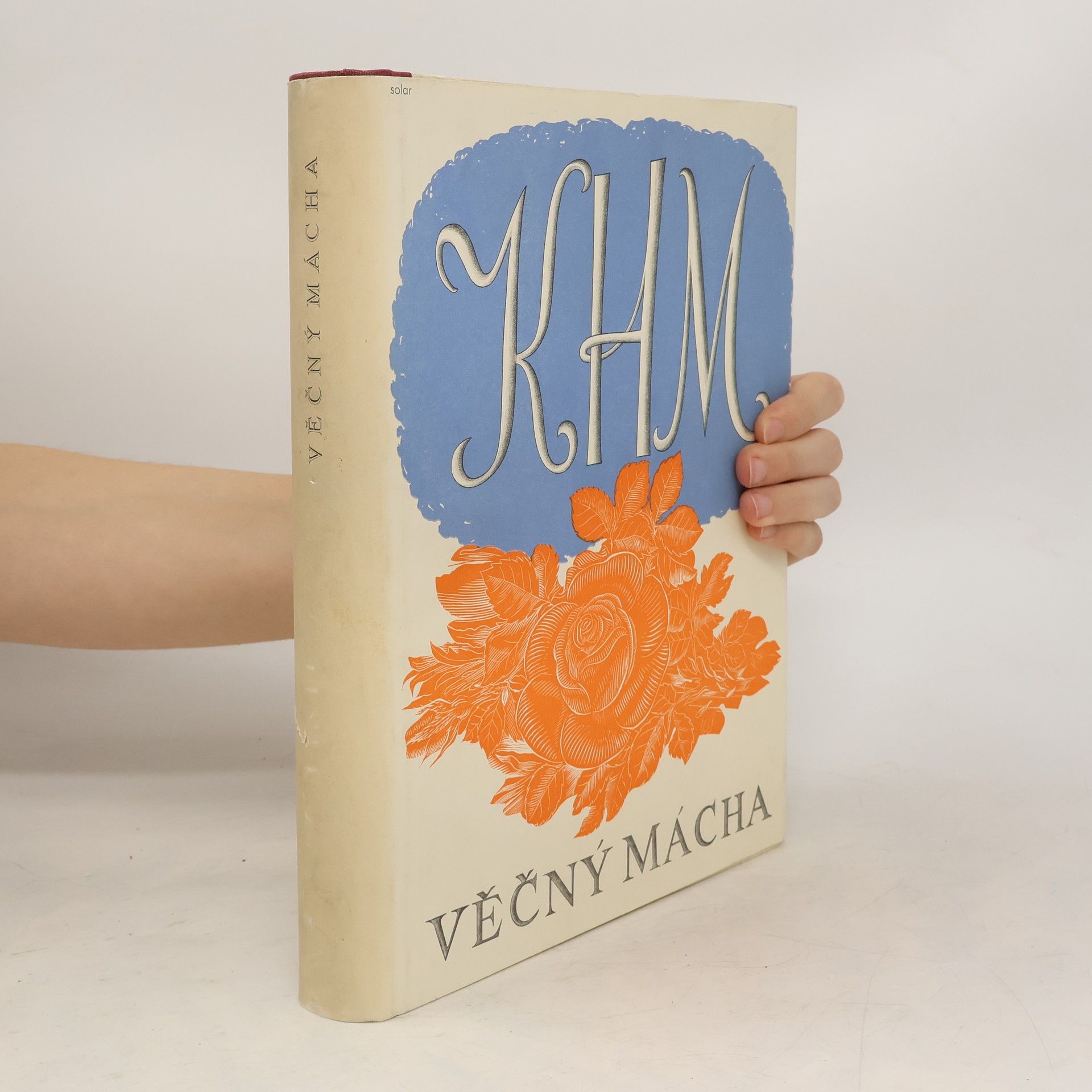 Collectif d'auteurs Věčný Mácha