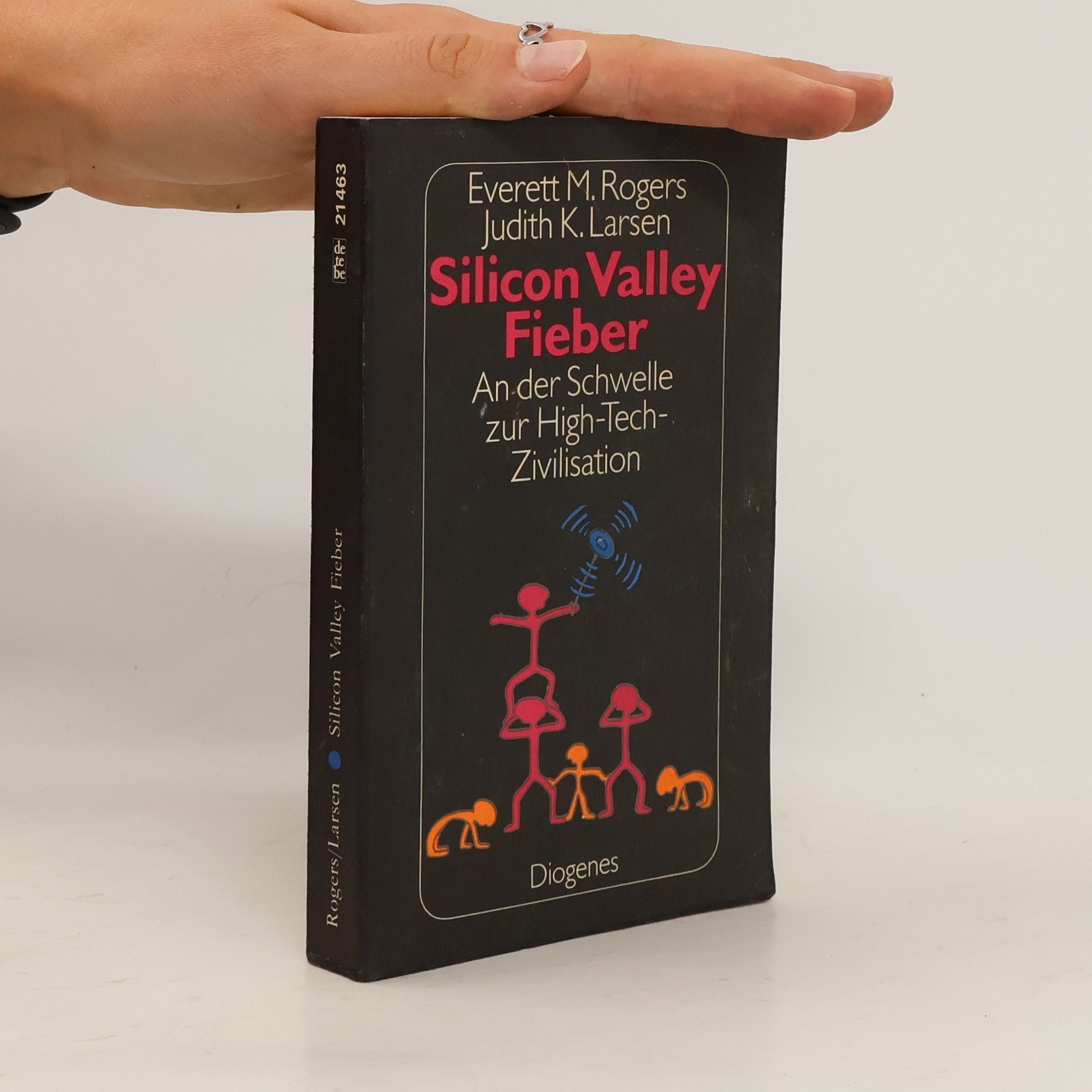 Everett M. Rogers Silicon-Valley-Fieber