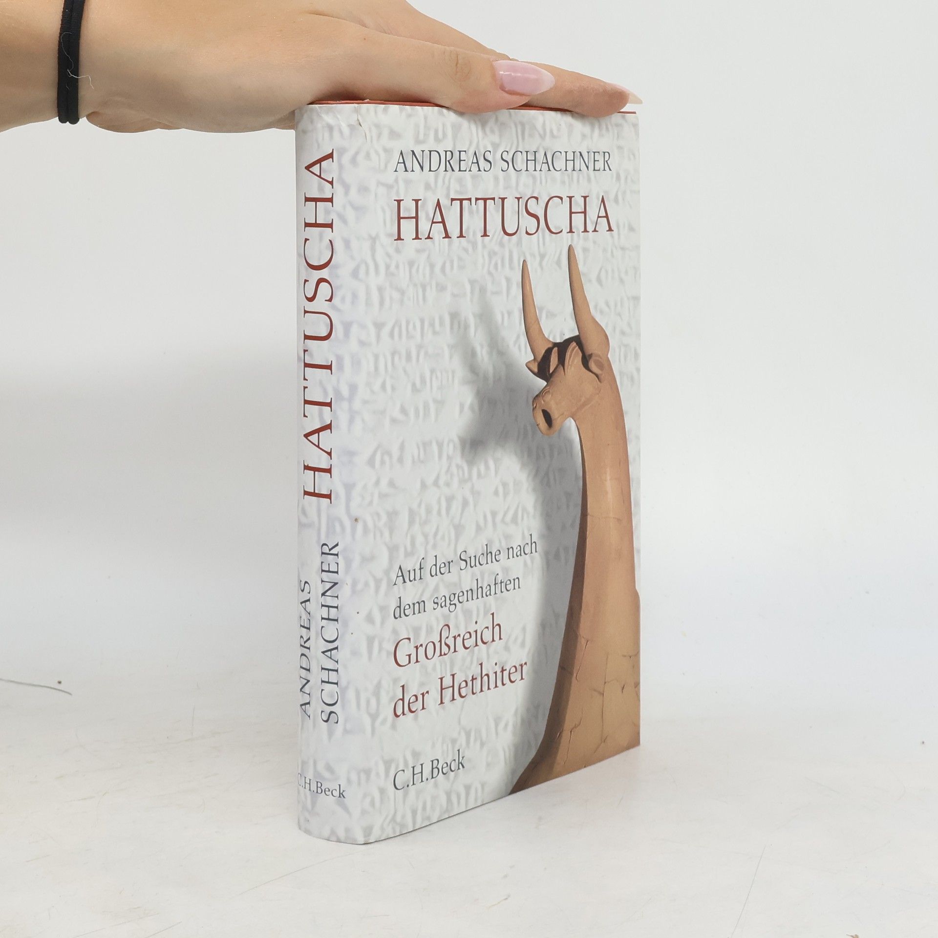 Andreas Schachner Hattuscha