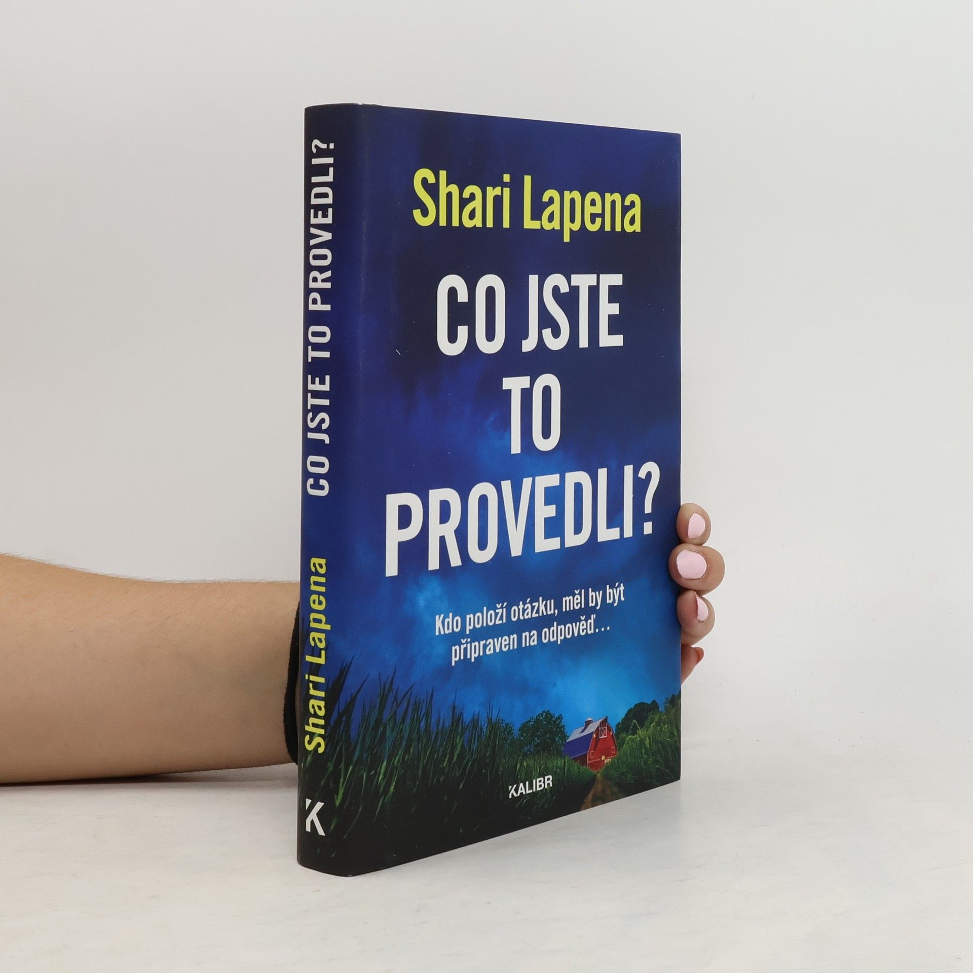 Shari Lapena Co jste to provedli?