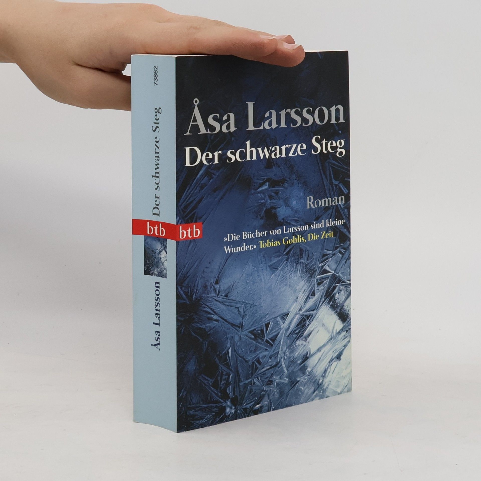 Åsa Larsson Der schwarze Steg