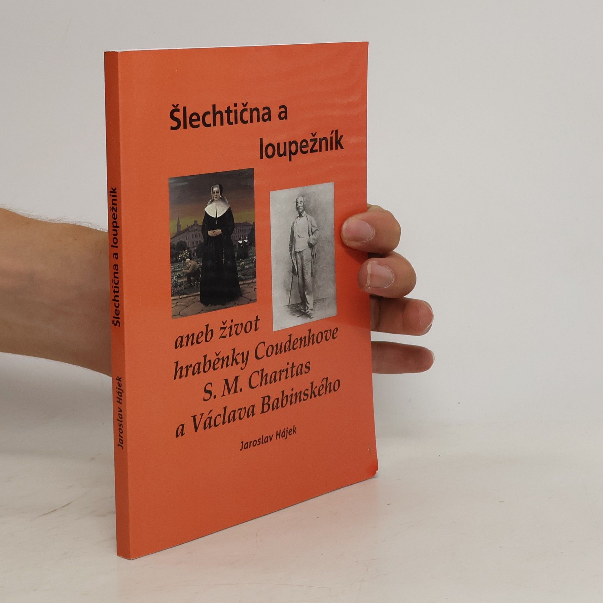 Šlechtična a loupežník