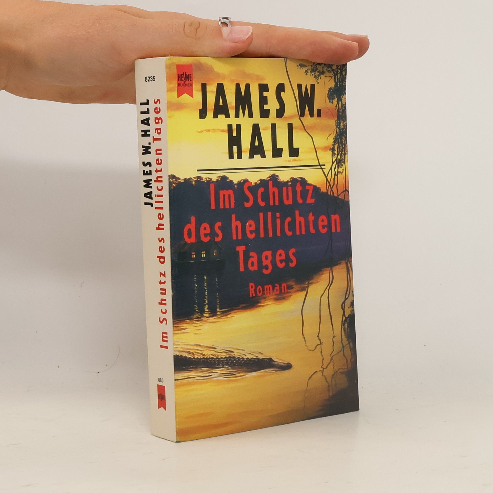 James Wilson Hall Im Schutz des hellichten Tages. Roman.