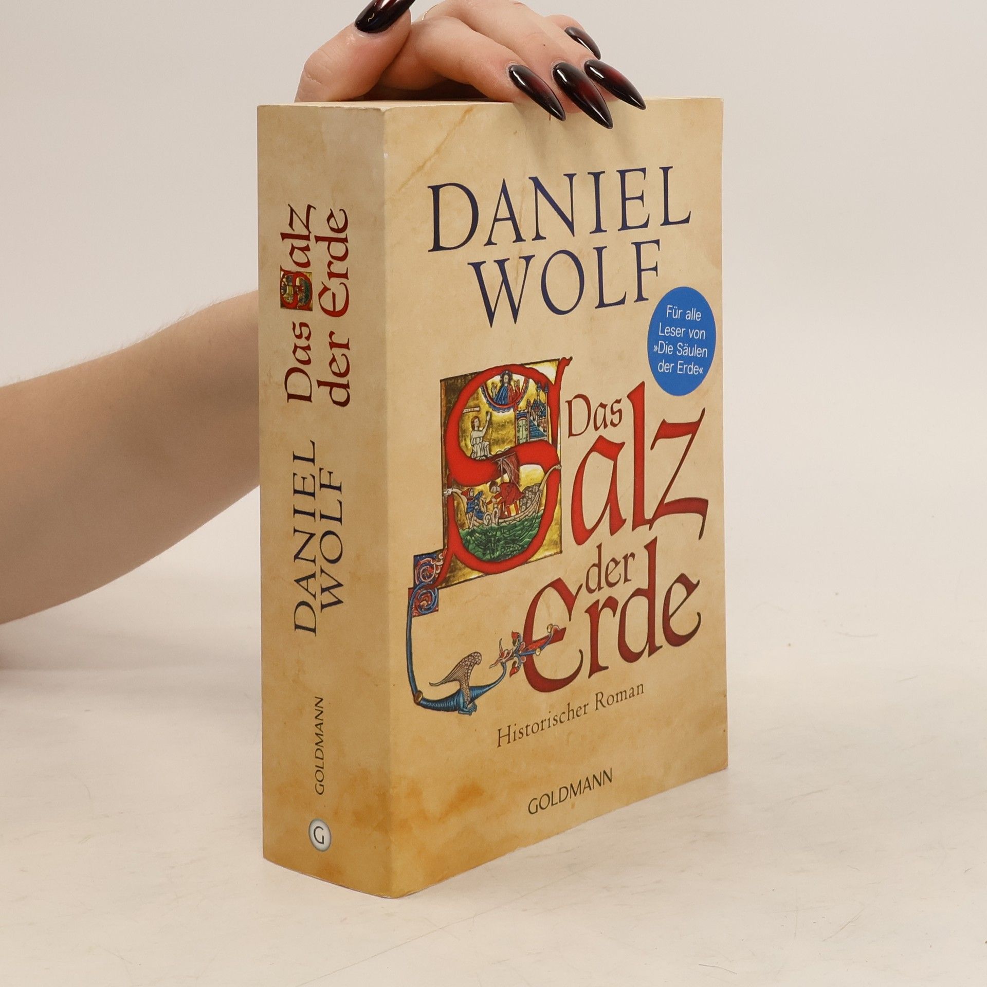 Daniel Wolf Das Salz der Erde : historischer Roman