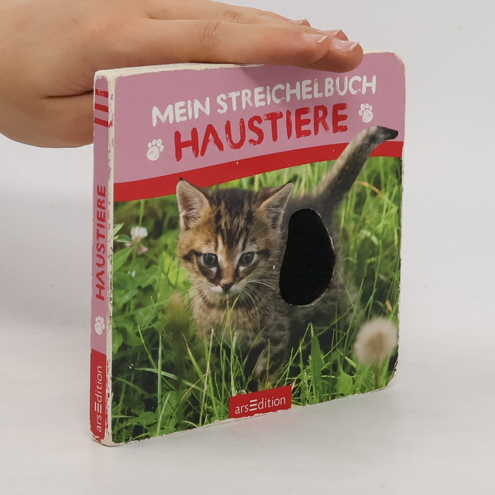 Collectif d'auteurs Mein Streichelbuch - Haustiere