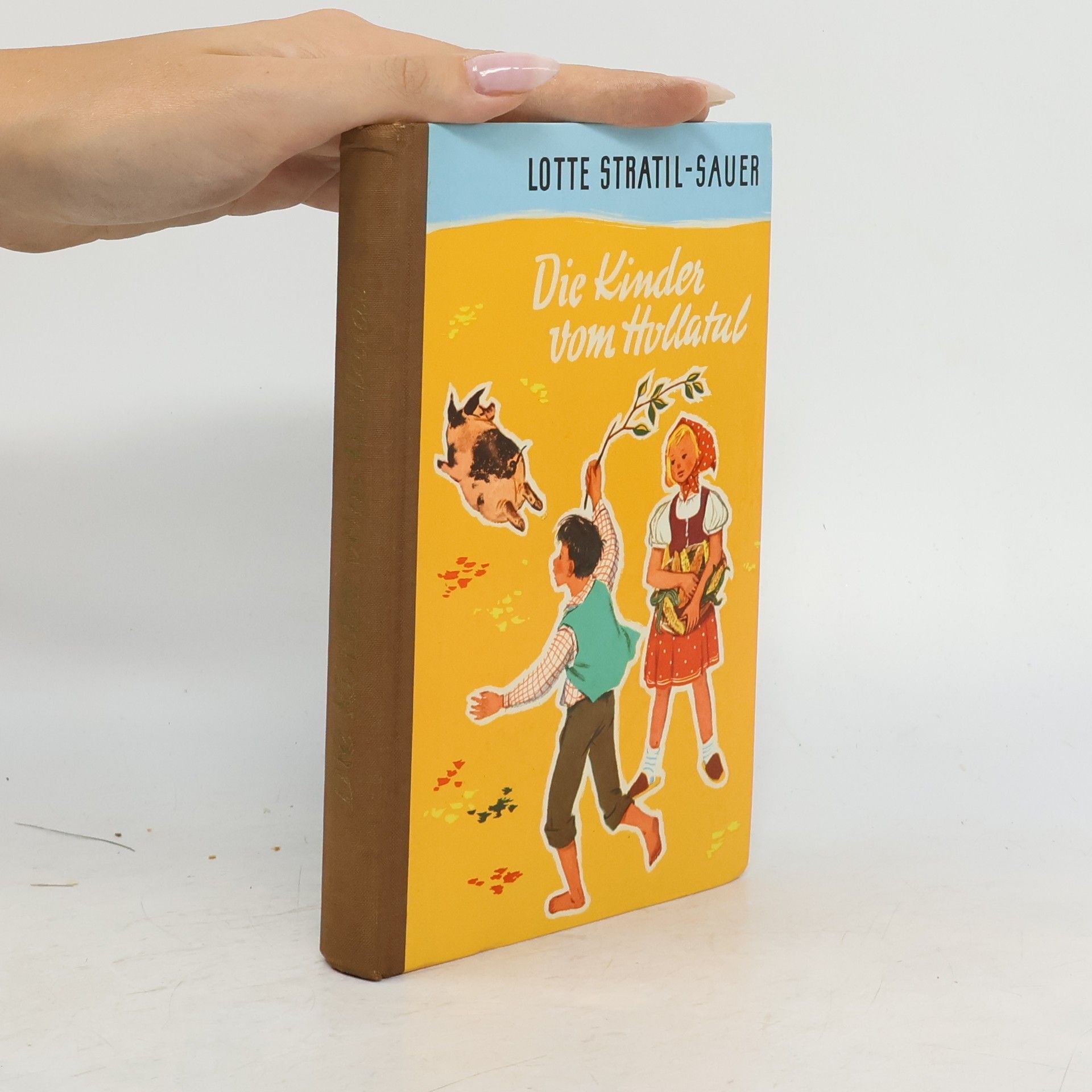 Lotte Stratil-Sauer Die Kinder vom Hollatal