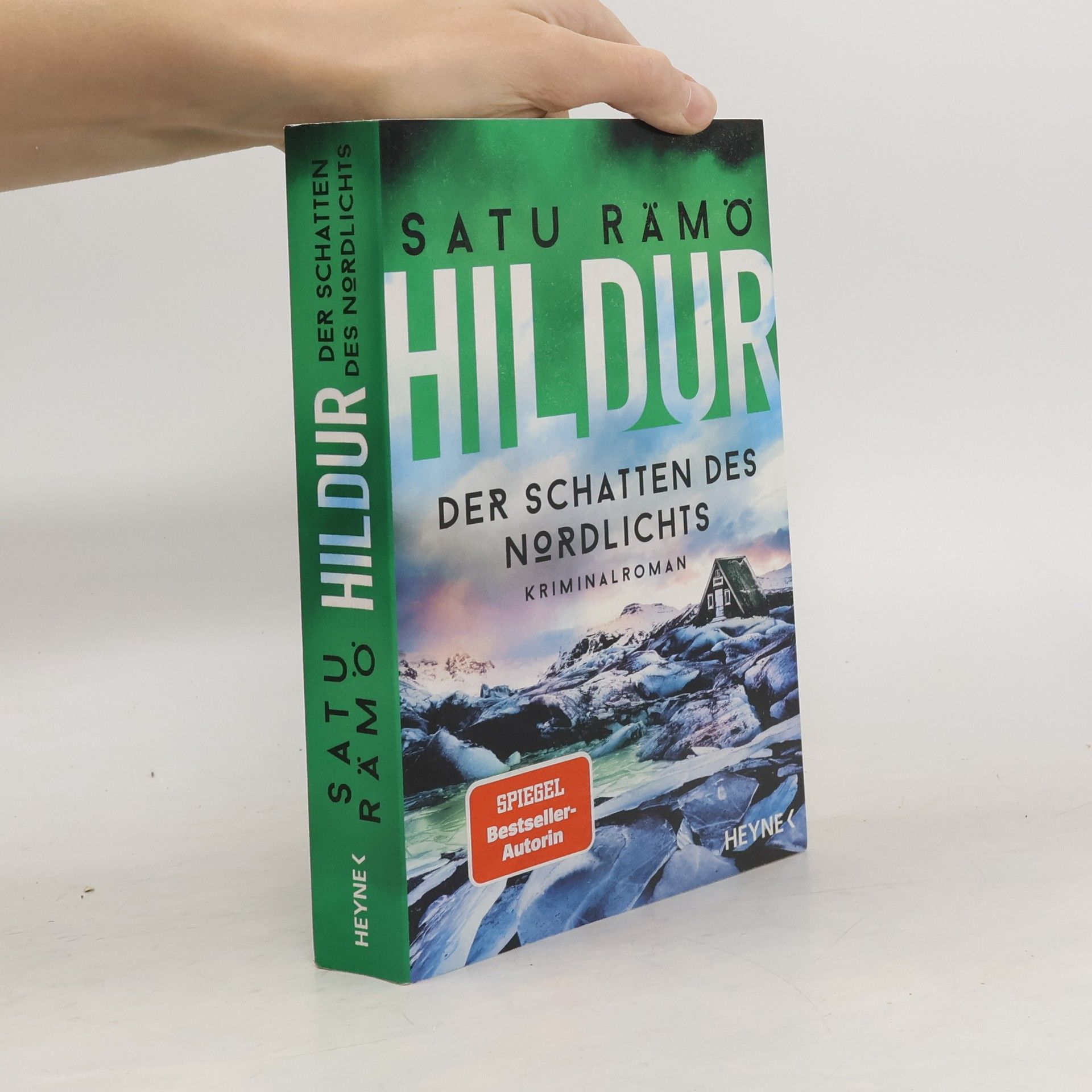 Satu Rämö Hildur – Der Schatten des Nordlichts. Kriminalroman