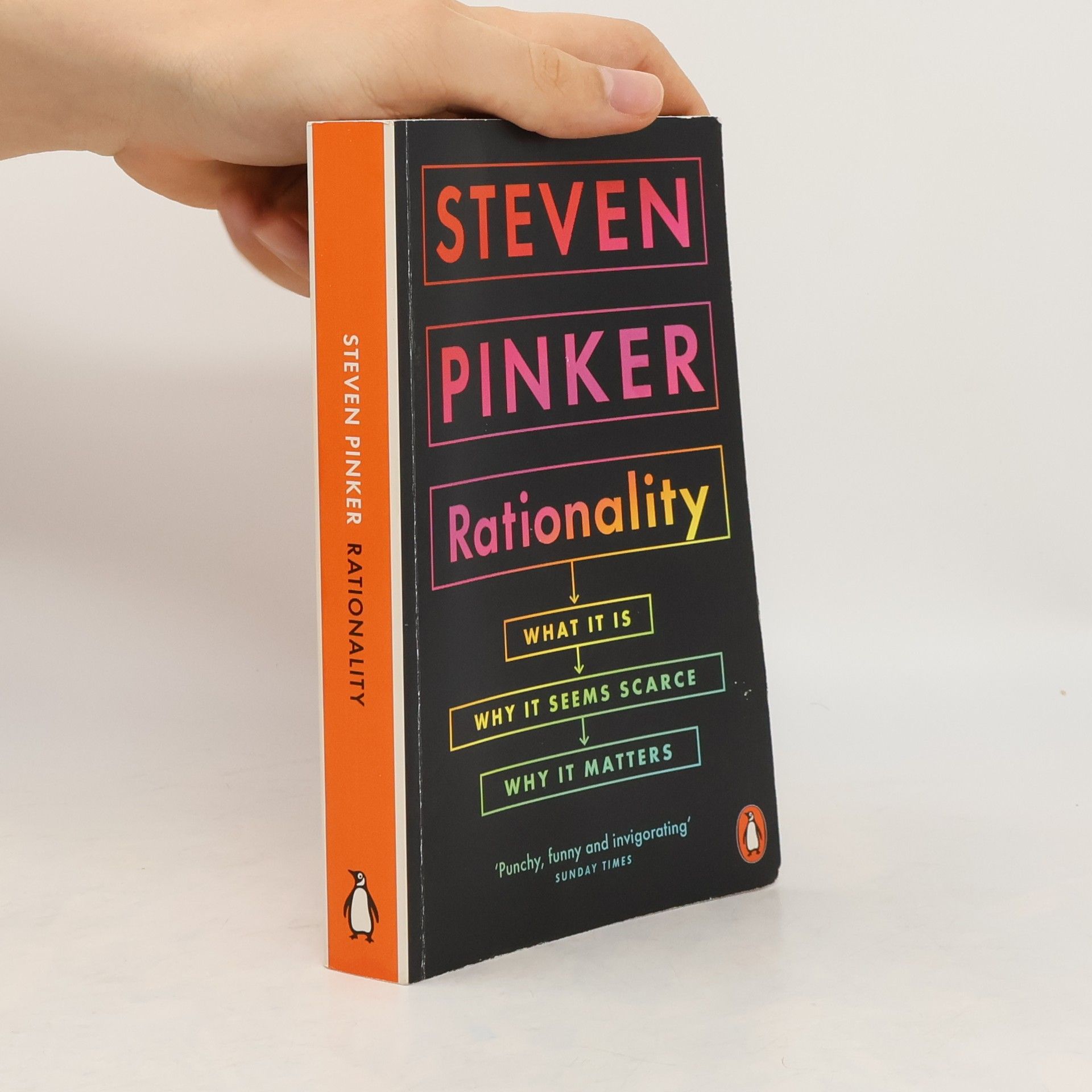 Steven Pinker Rationality